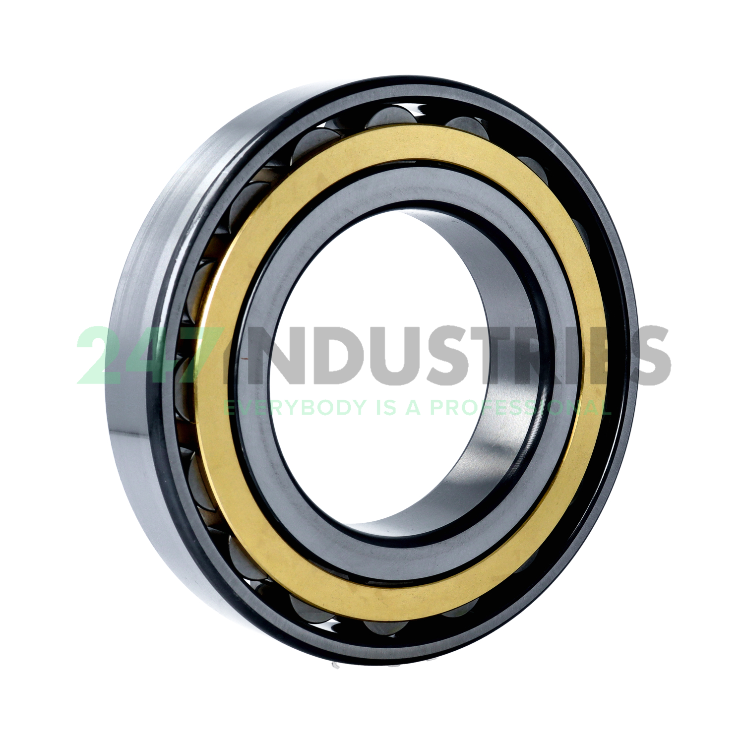 N220-E-XL-M1 FAG Image 2