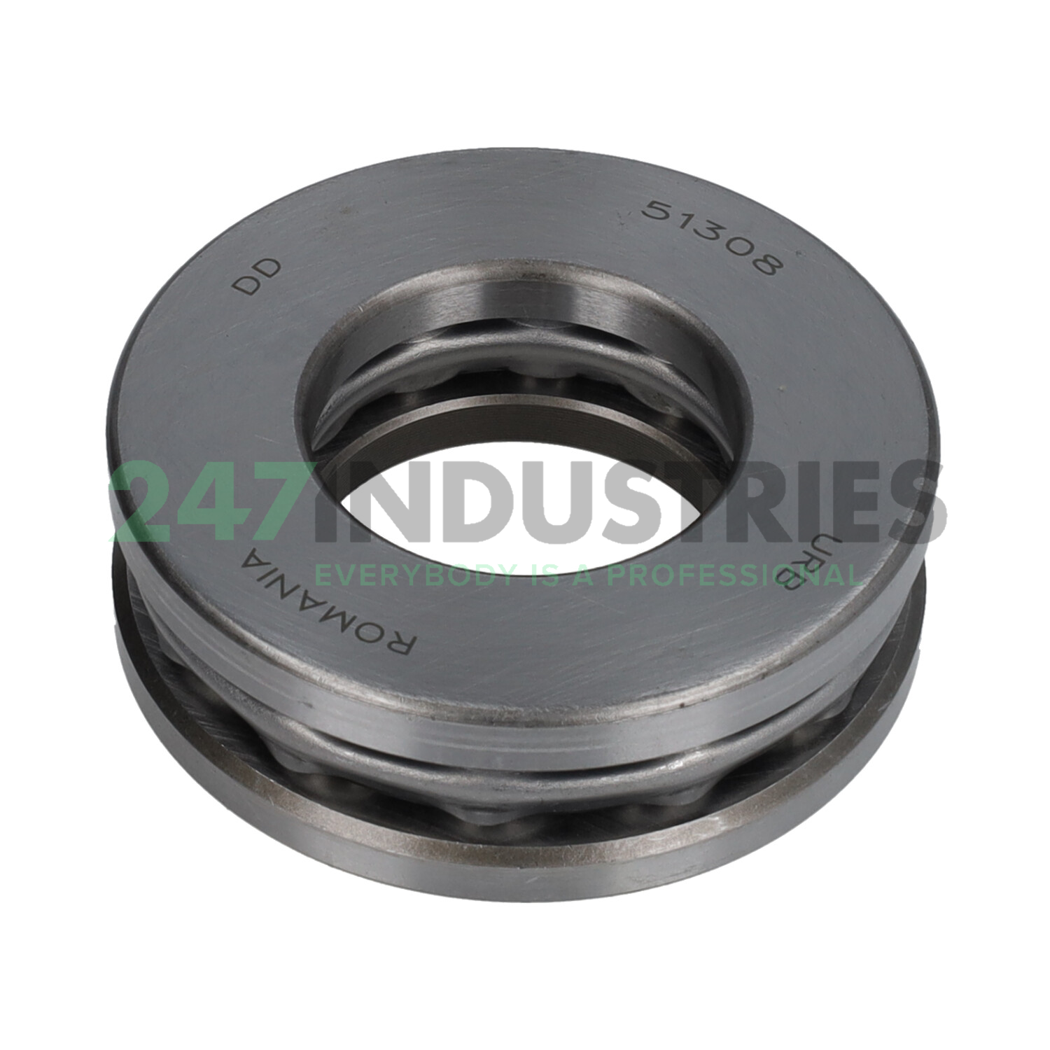 51308 URB Image 2