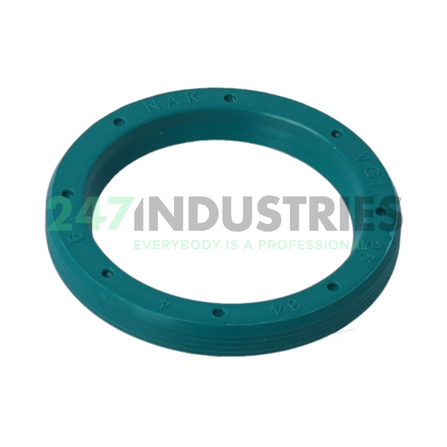 VG1 26X34X4 NAK Sealing Technologies