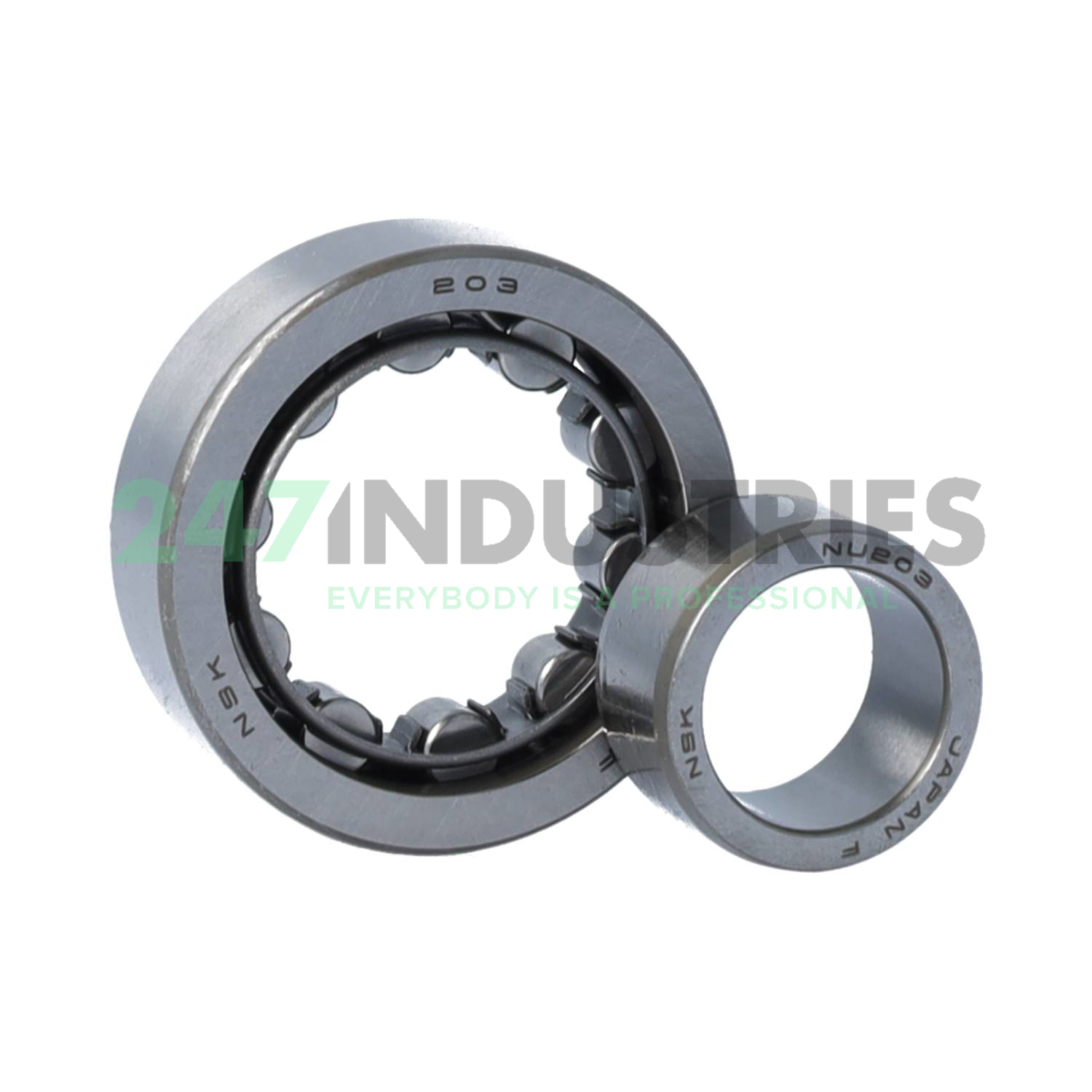 NU203W NSK Image 3