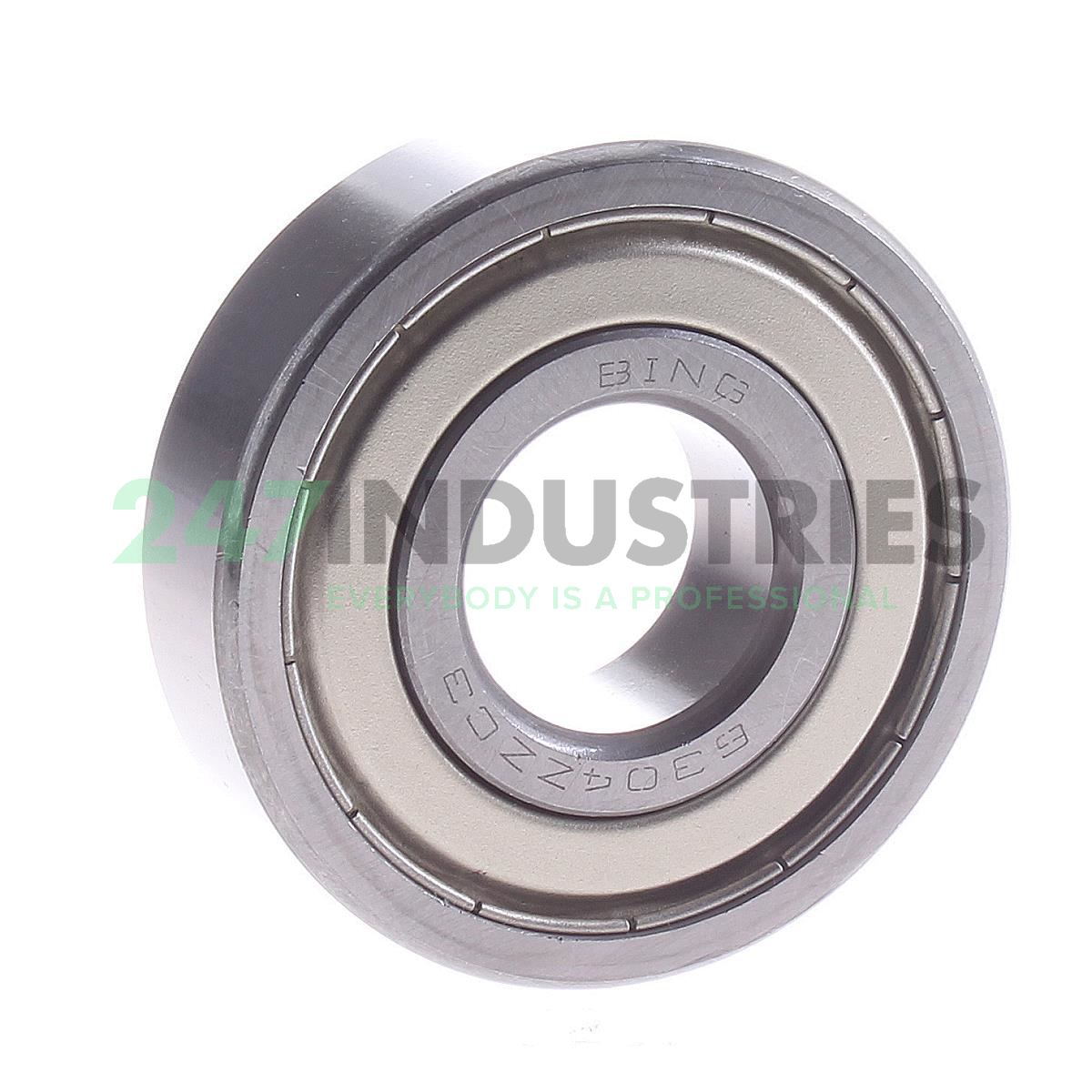 6304ZZ C3 Bing Netherlands