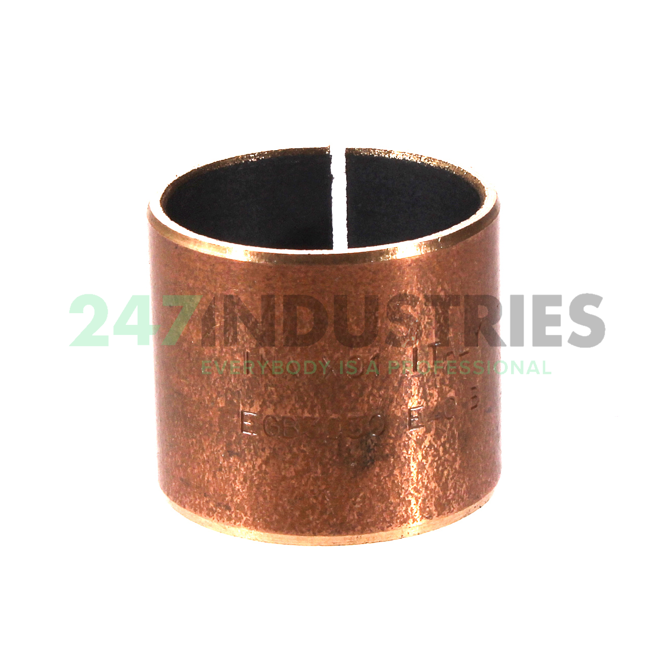 EGB3030-E40-B-Y INA Image 3