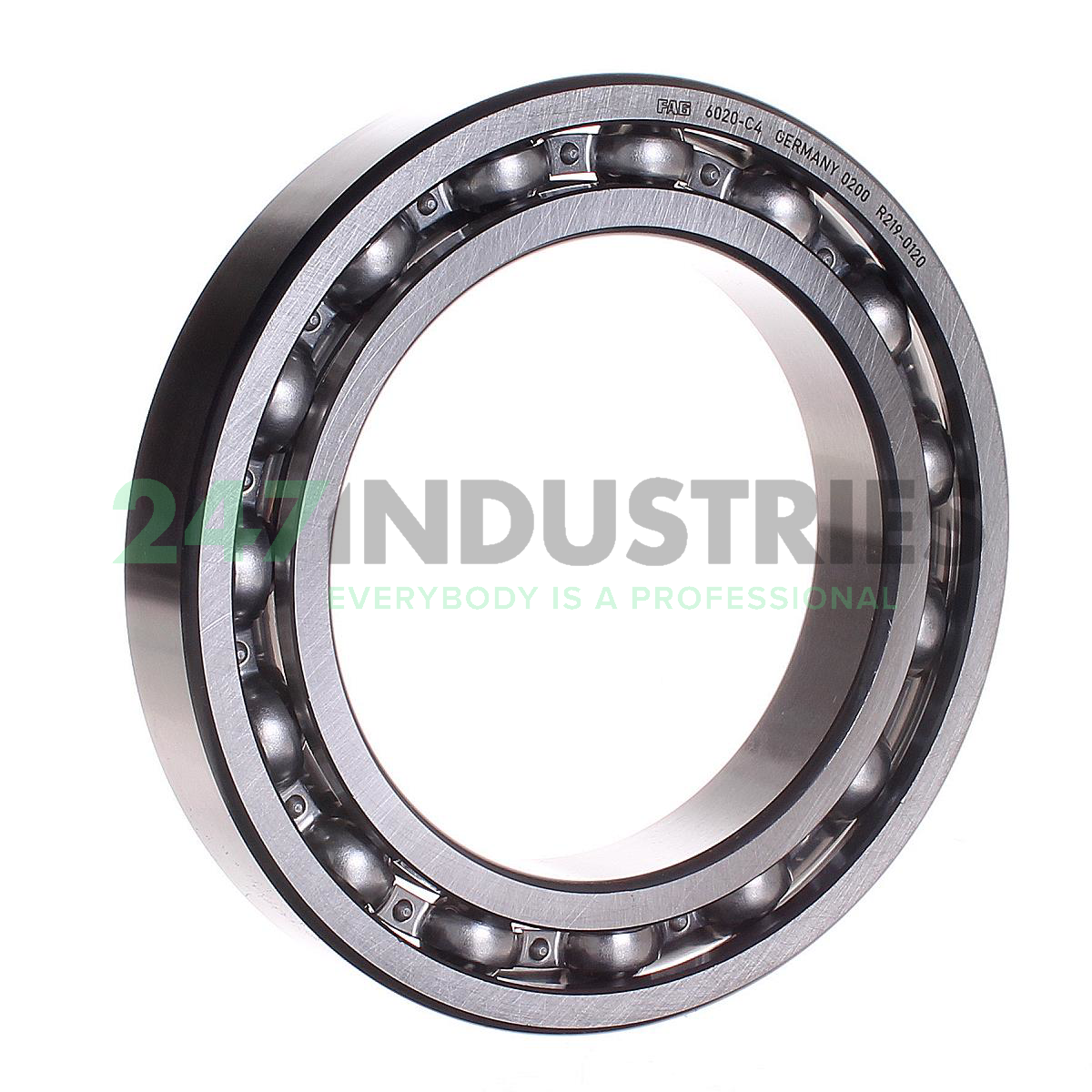 6020-C4 FAG