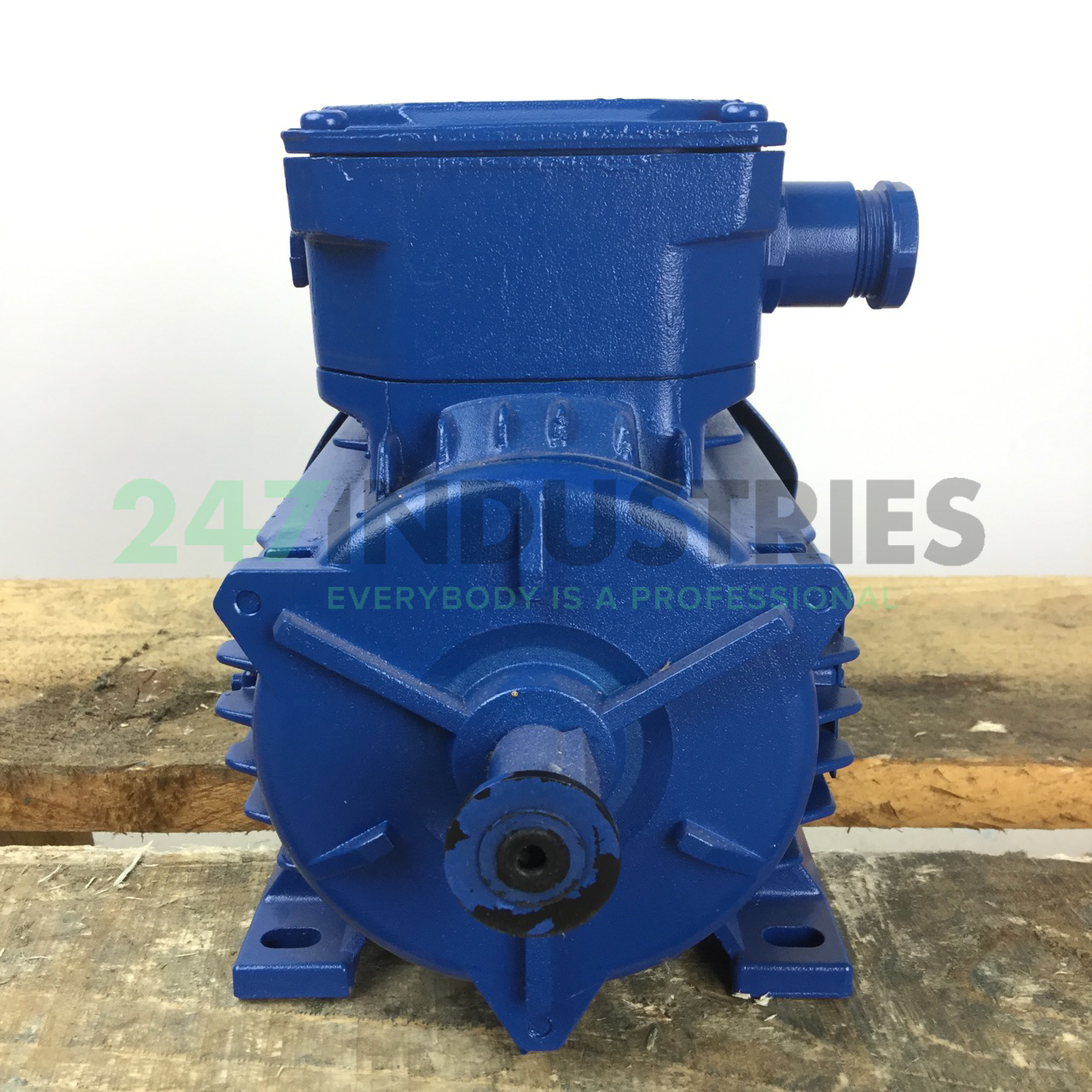 A4C0622A00017 Marelli Motori Image 4