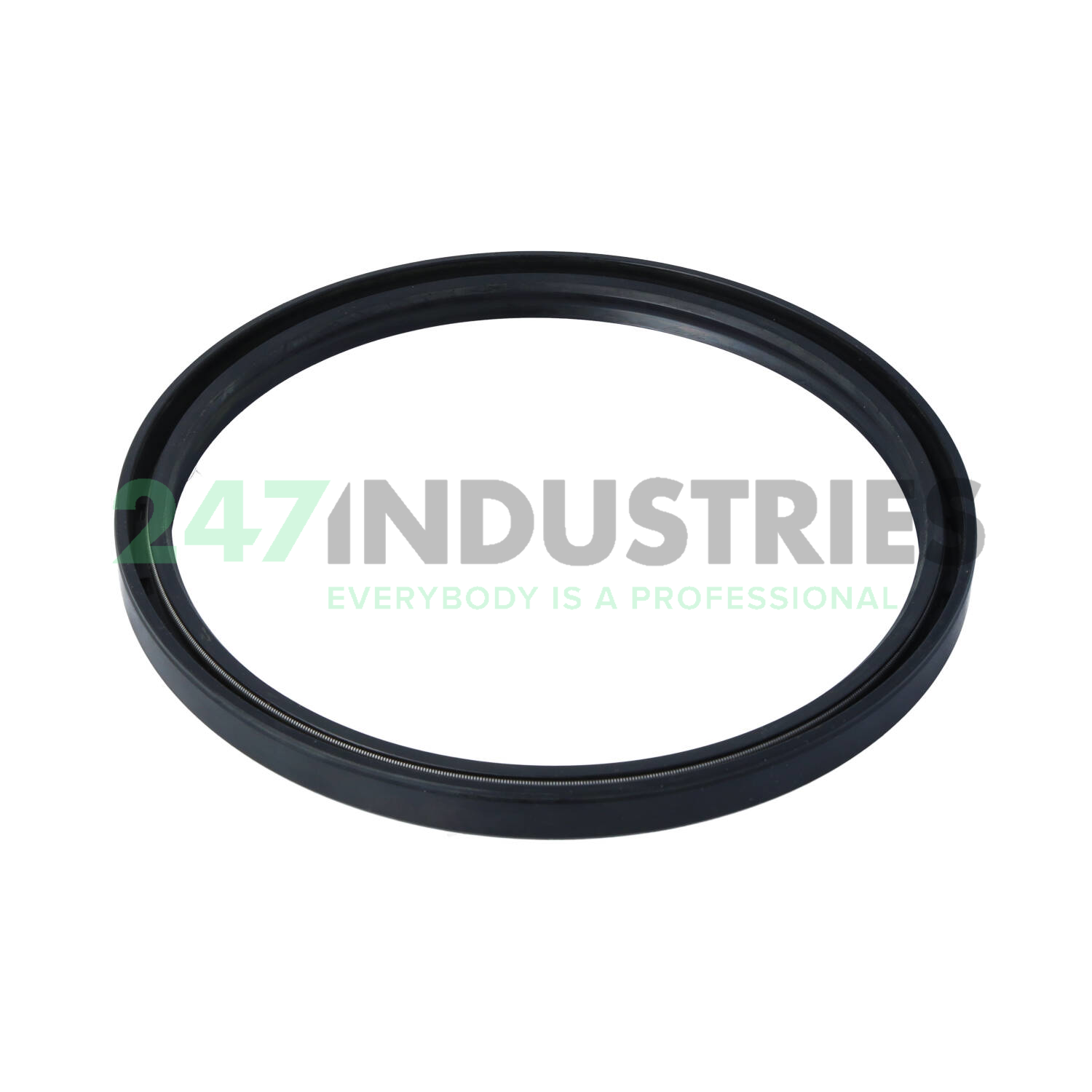 TC150X170X12 Neutral Image 2