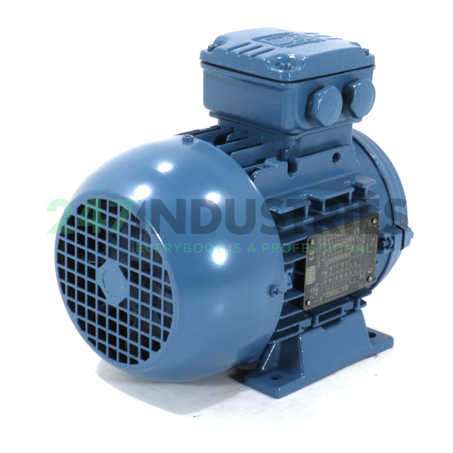 0.25K31AL0808B3 WEG Image 3