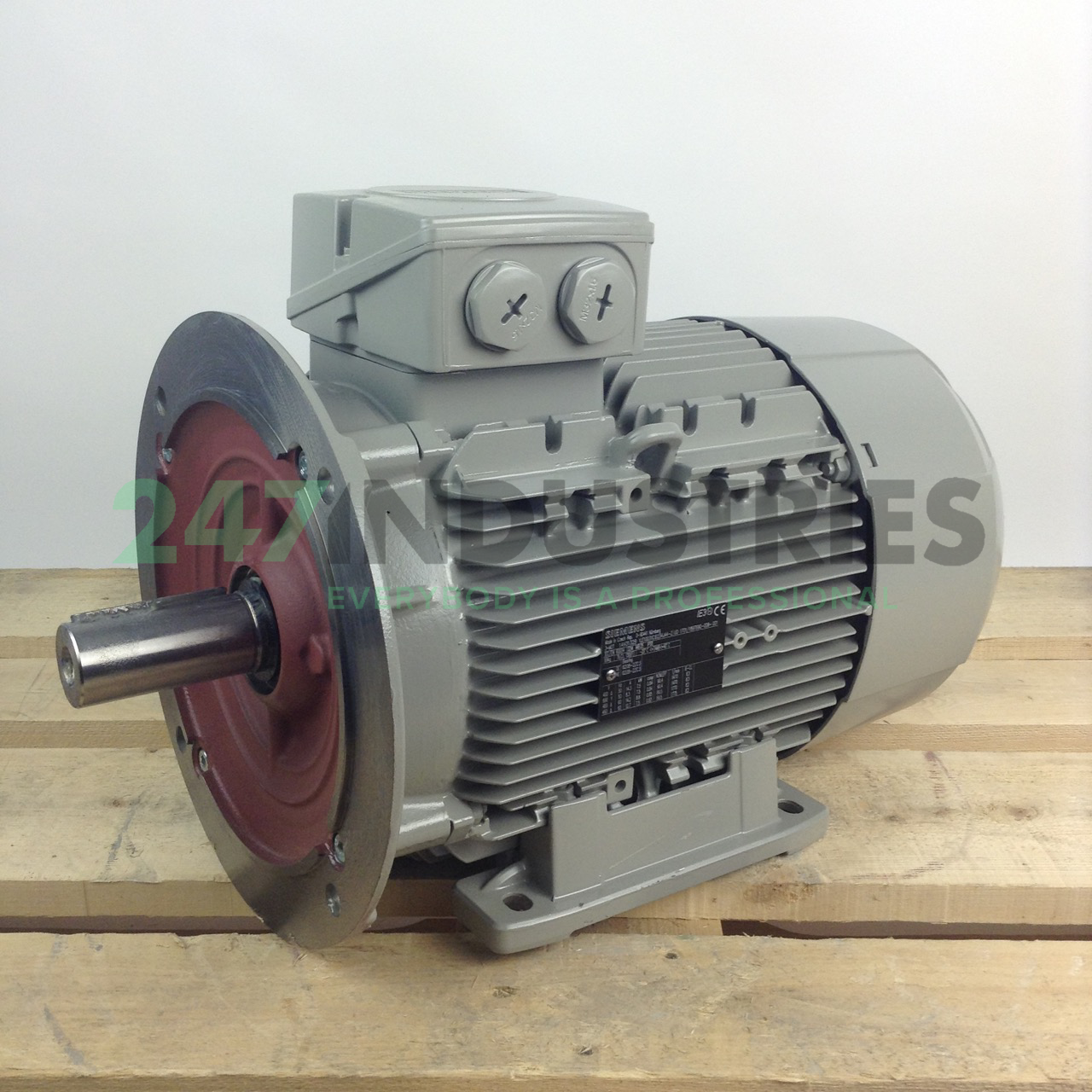 1LE1003-1CB23-4JA4 Siemens