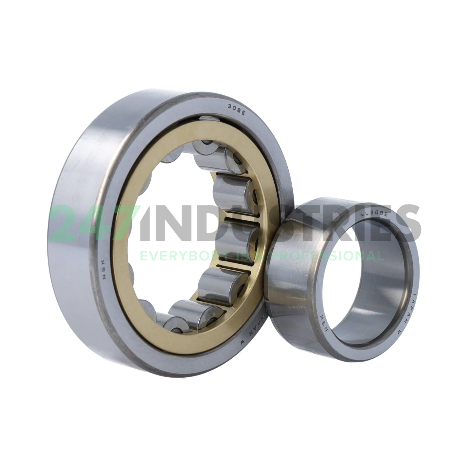 NU308EM NSK Image 3