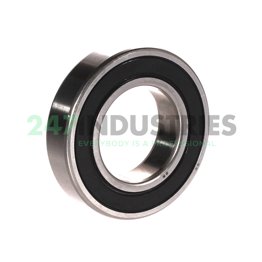 S6006 2RS NTN Image 2