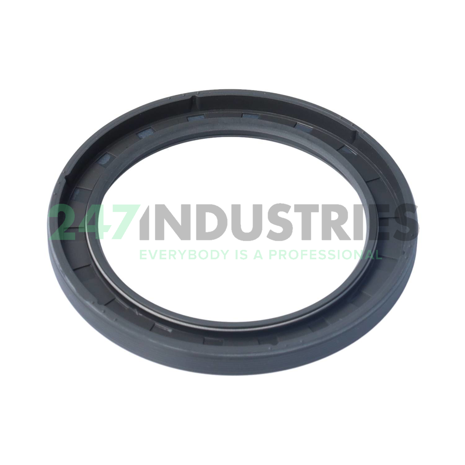 60X80X7HMS5RG SKF Image 2