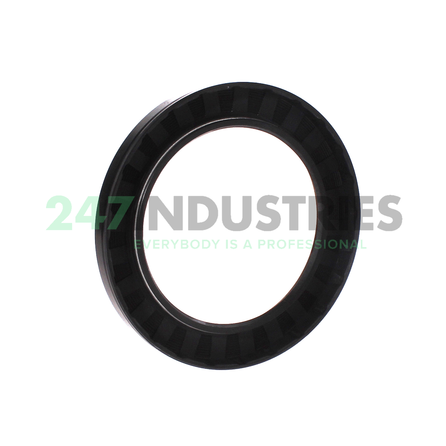 SC95X135X13 CHO Champ Oil Seals Image 2