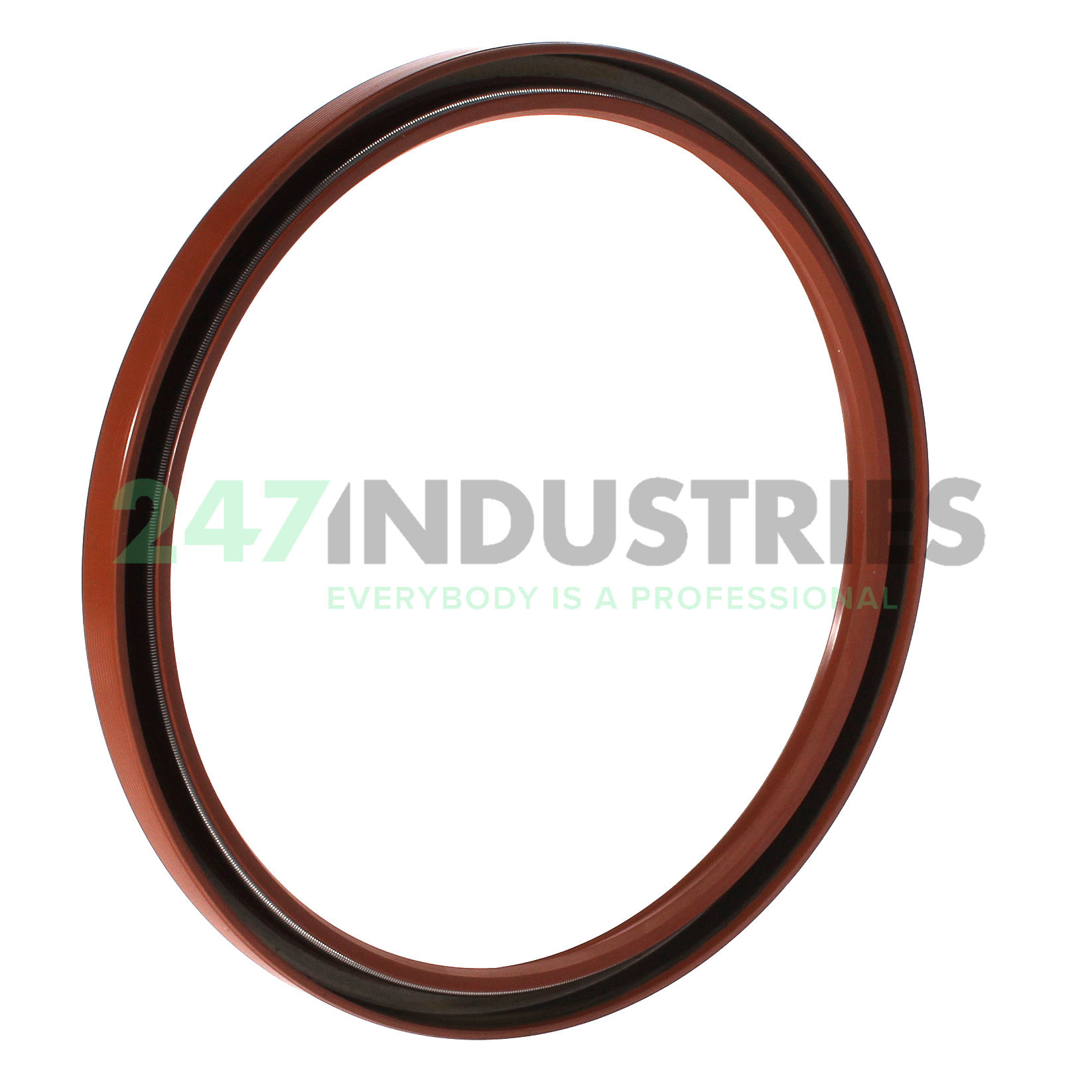 CR140X160X12HMS5V SKF Image 2