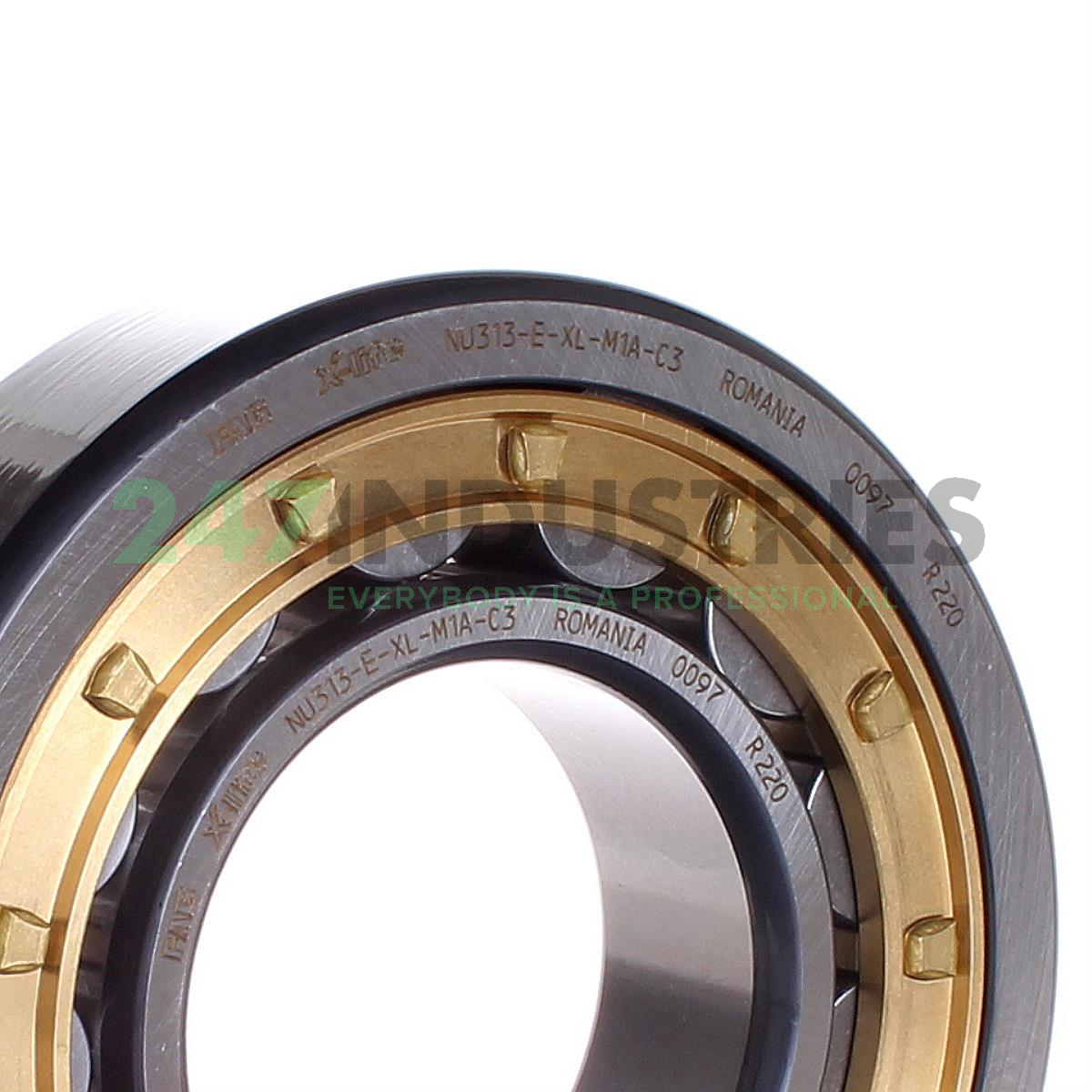 NU313-E-XL-M1A-C3 FAG Image 2