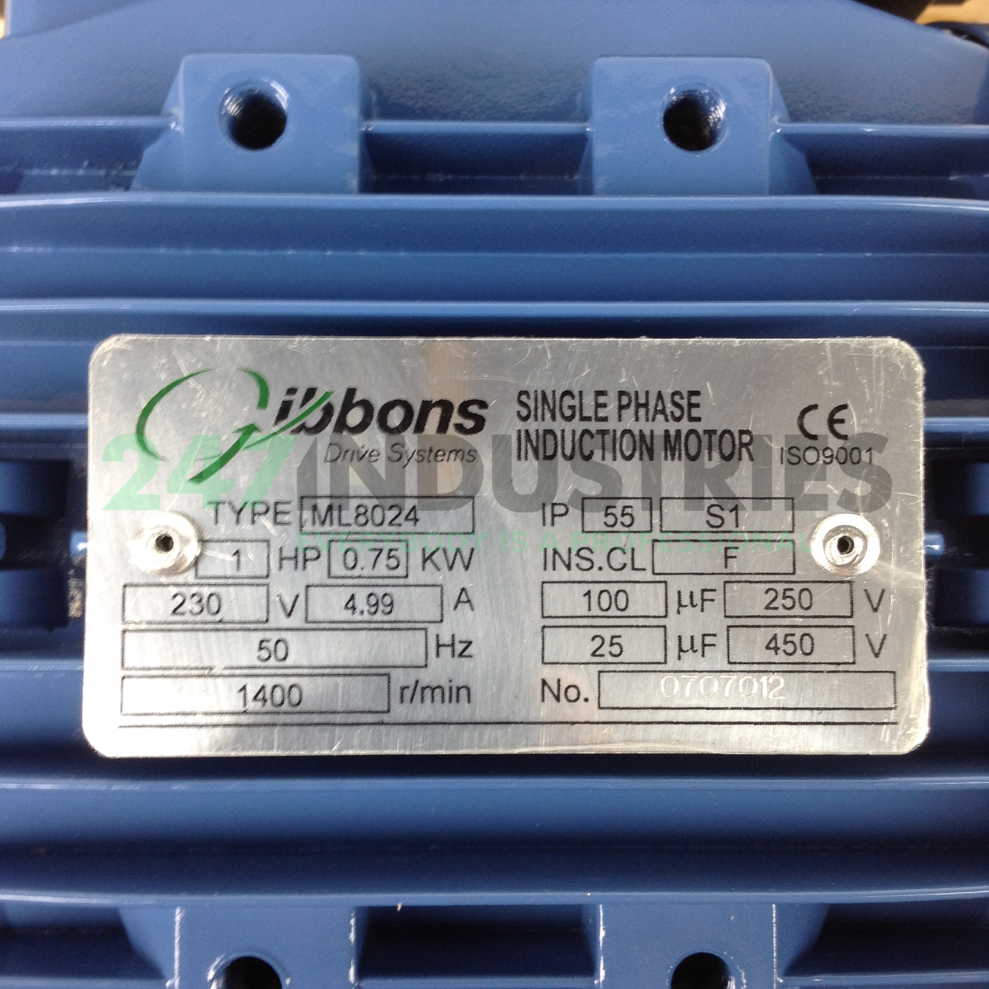 ML8024B34 Gibbons Image 2