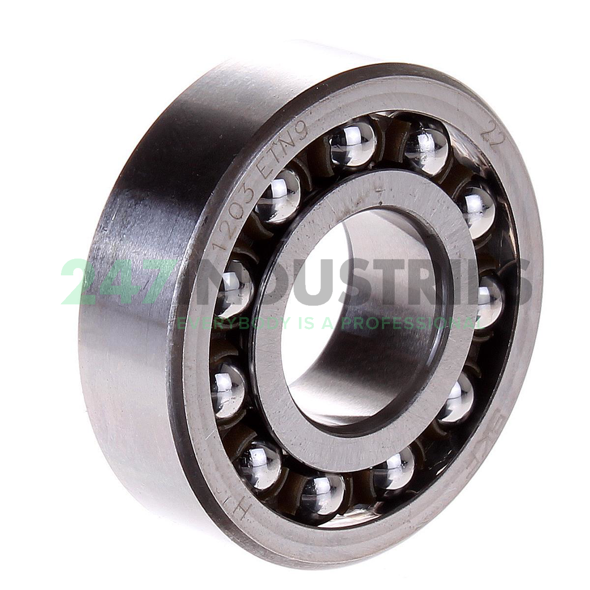 1203ETN9 SKF
