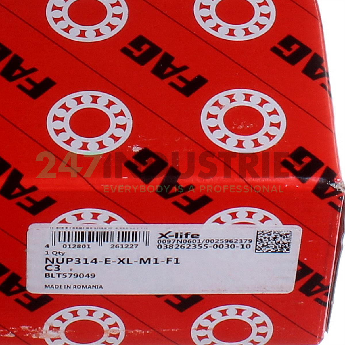 NUP314-E-XL-M1-F1-C3 FAG Image 6