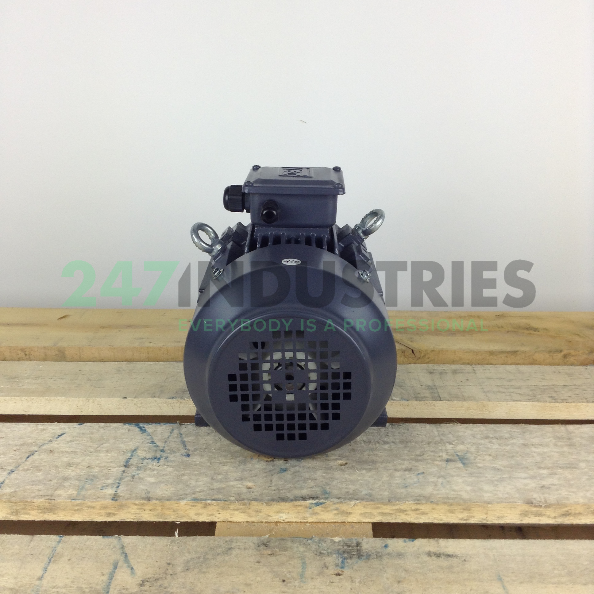 T2CR100L2-4B3 TEC Electric Motors Image 5