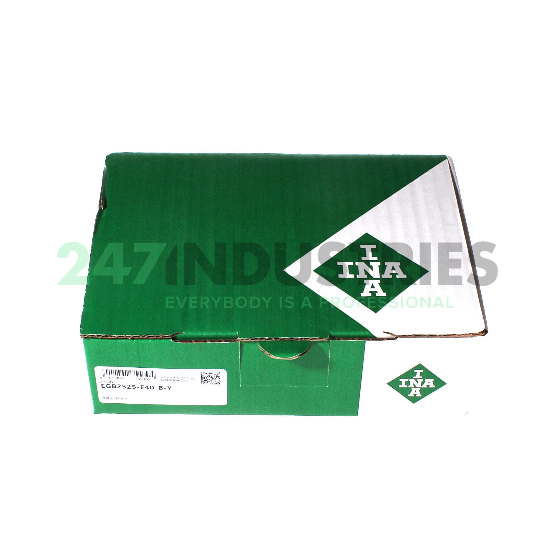 EGB2525-E40-B-Y INA Image 2