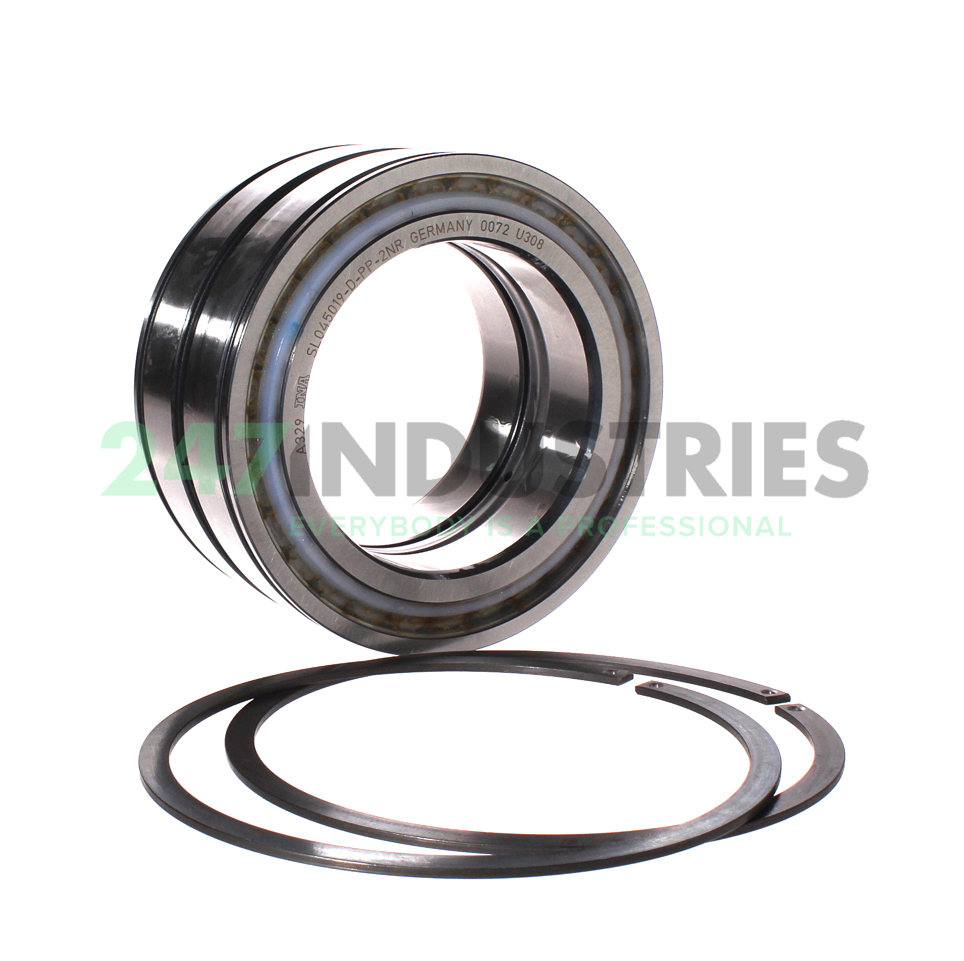 SL045019-D-PP-2NR INA Image 2