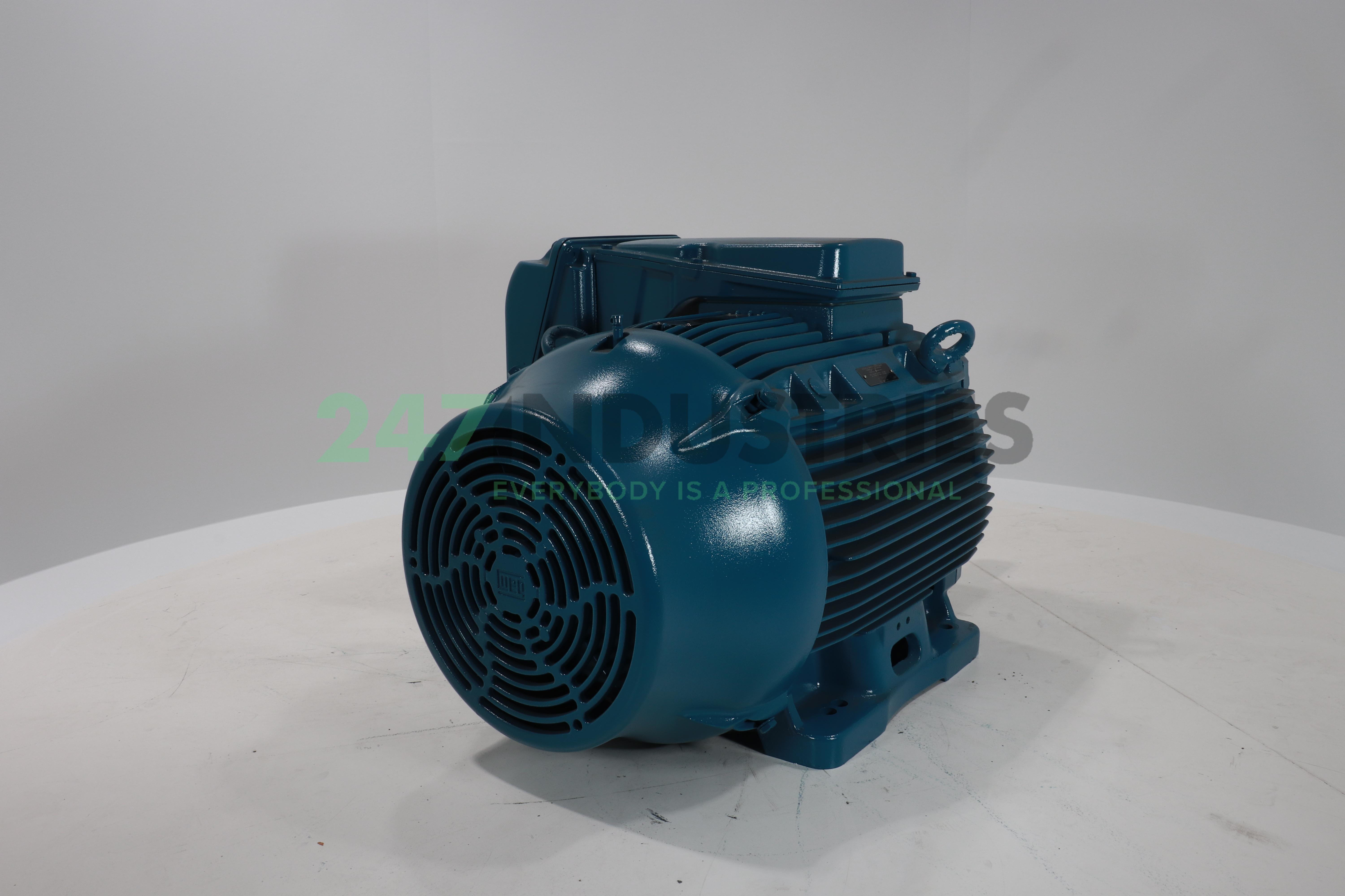 55K32CI3250S/M4B5 WEG Image 3