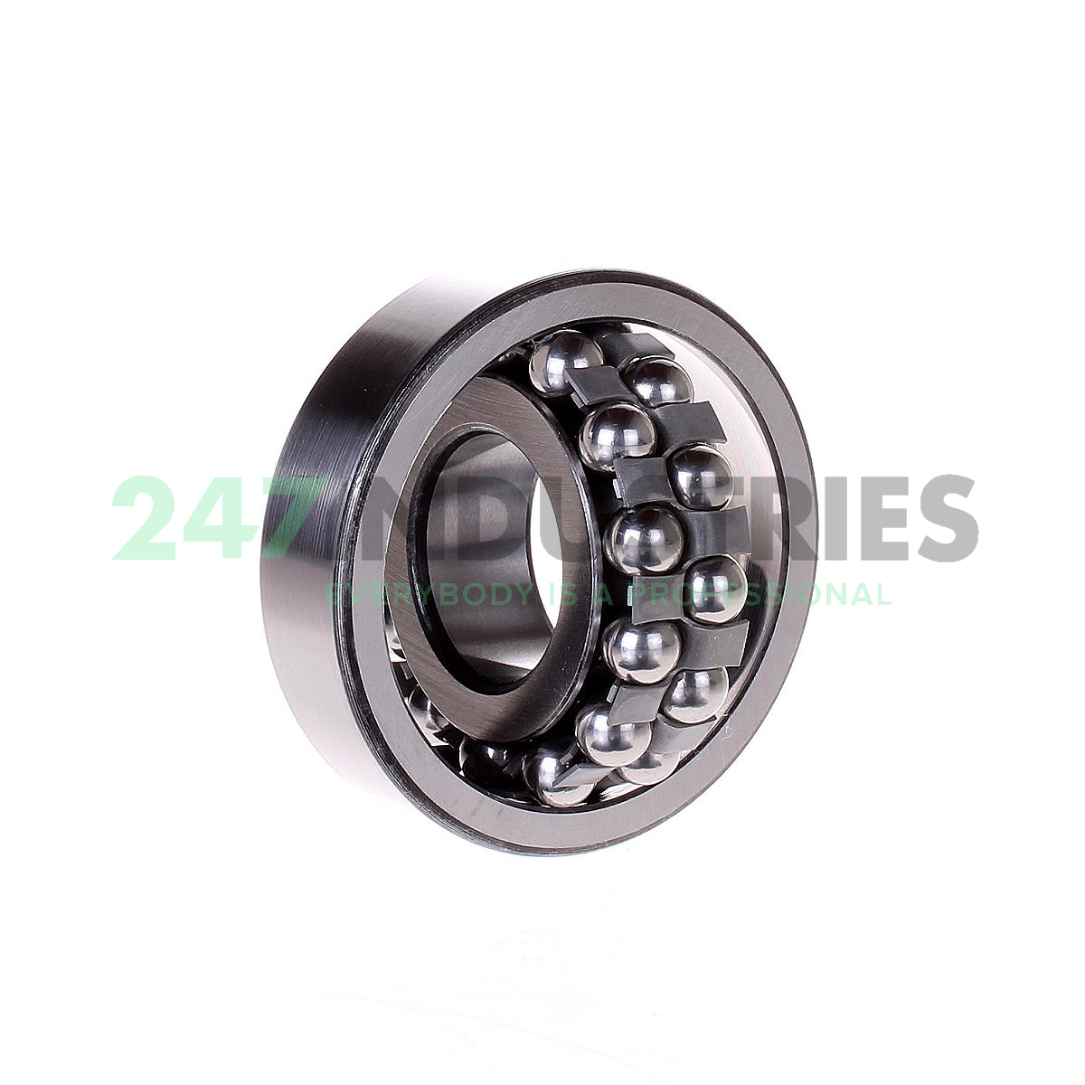 1306 SNR Image 2