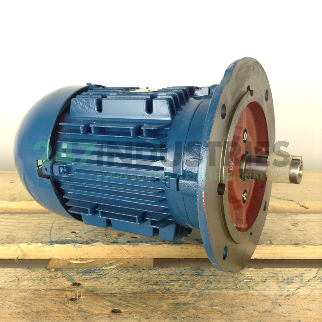 3K31AL21004B5 WEG Image 3