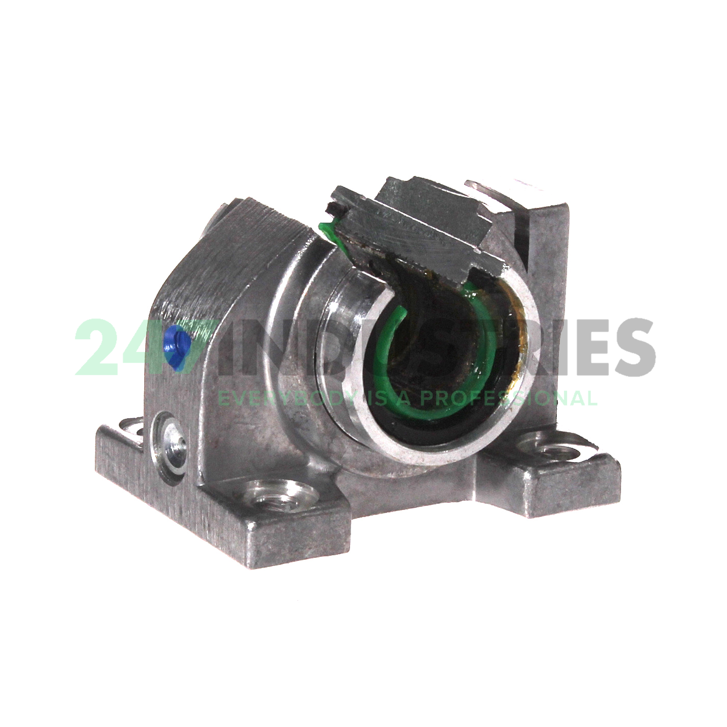 PAGBAO12-PP-AS INA Image 2