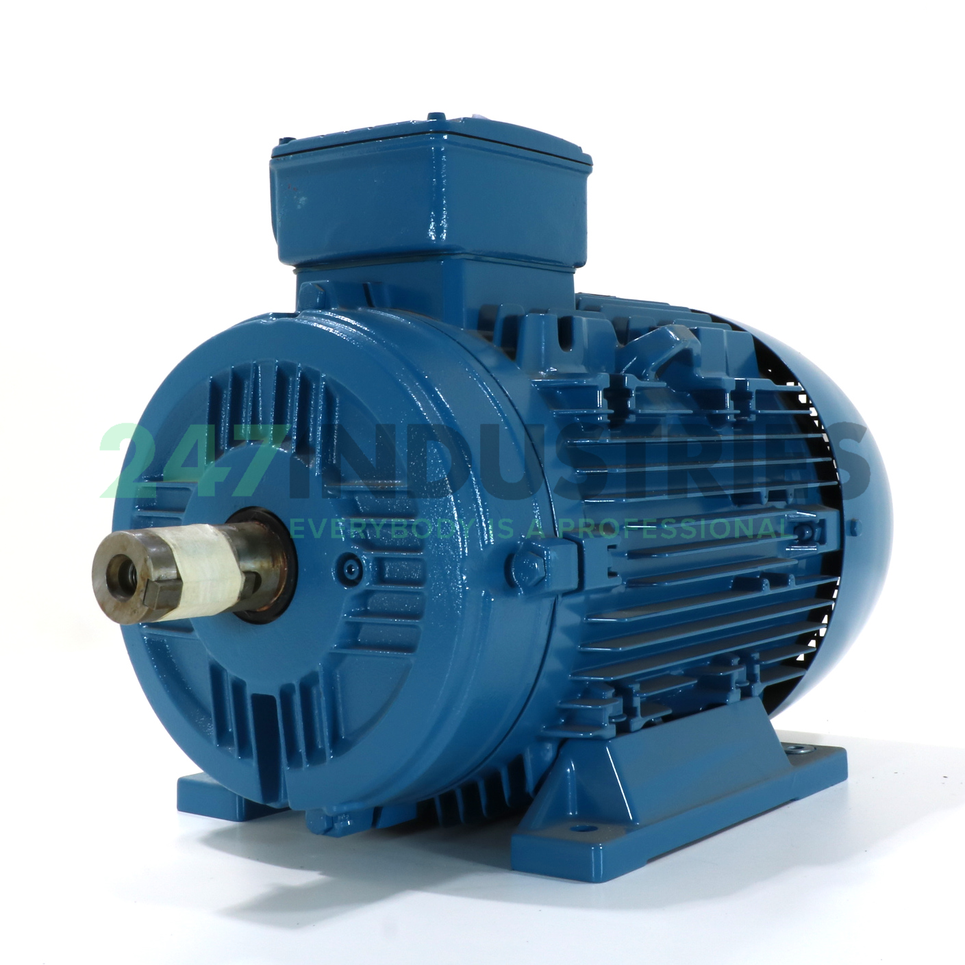 30K32AL3200M/L4B3 WEG