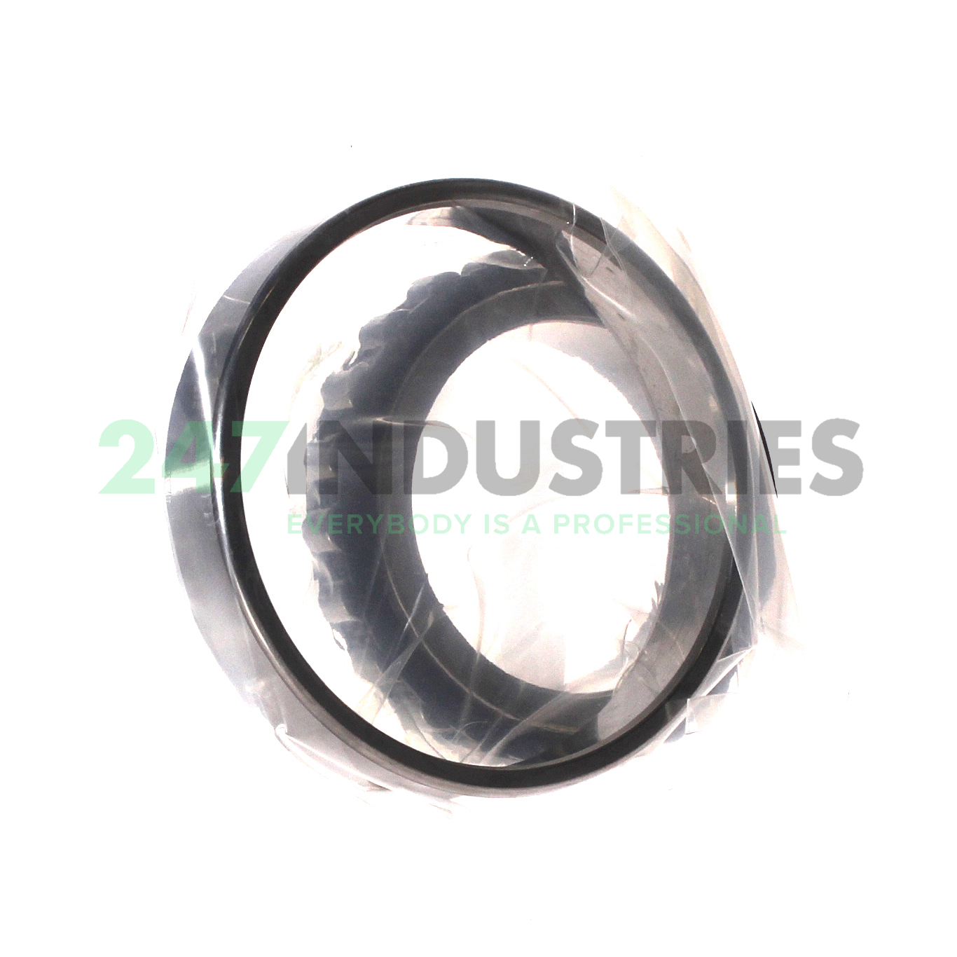 N1011-D-K-TVP-SP-XL FAG Image 3