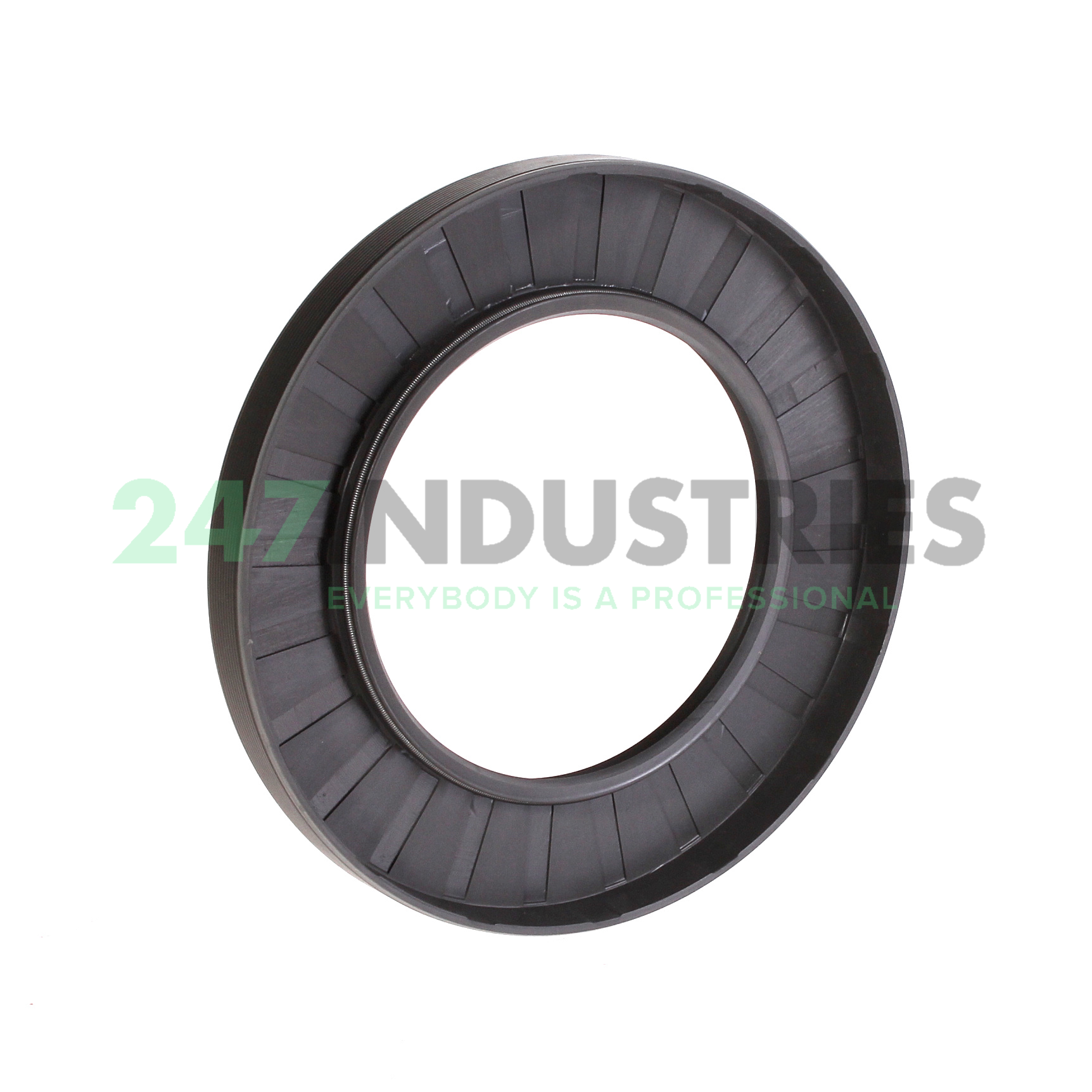 75X120X12HMSA10RG SKF Image 2