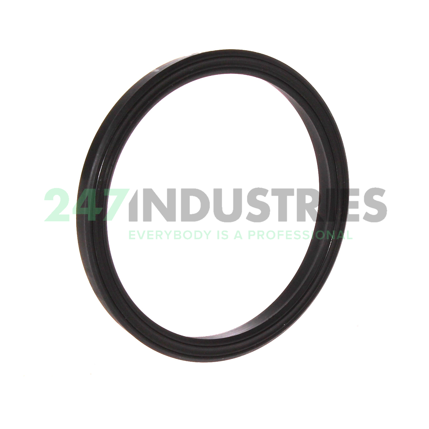 PTB187-2625-281-J1S SKF