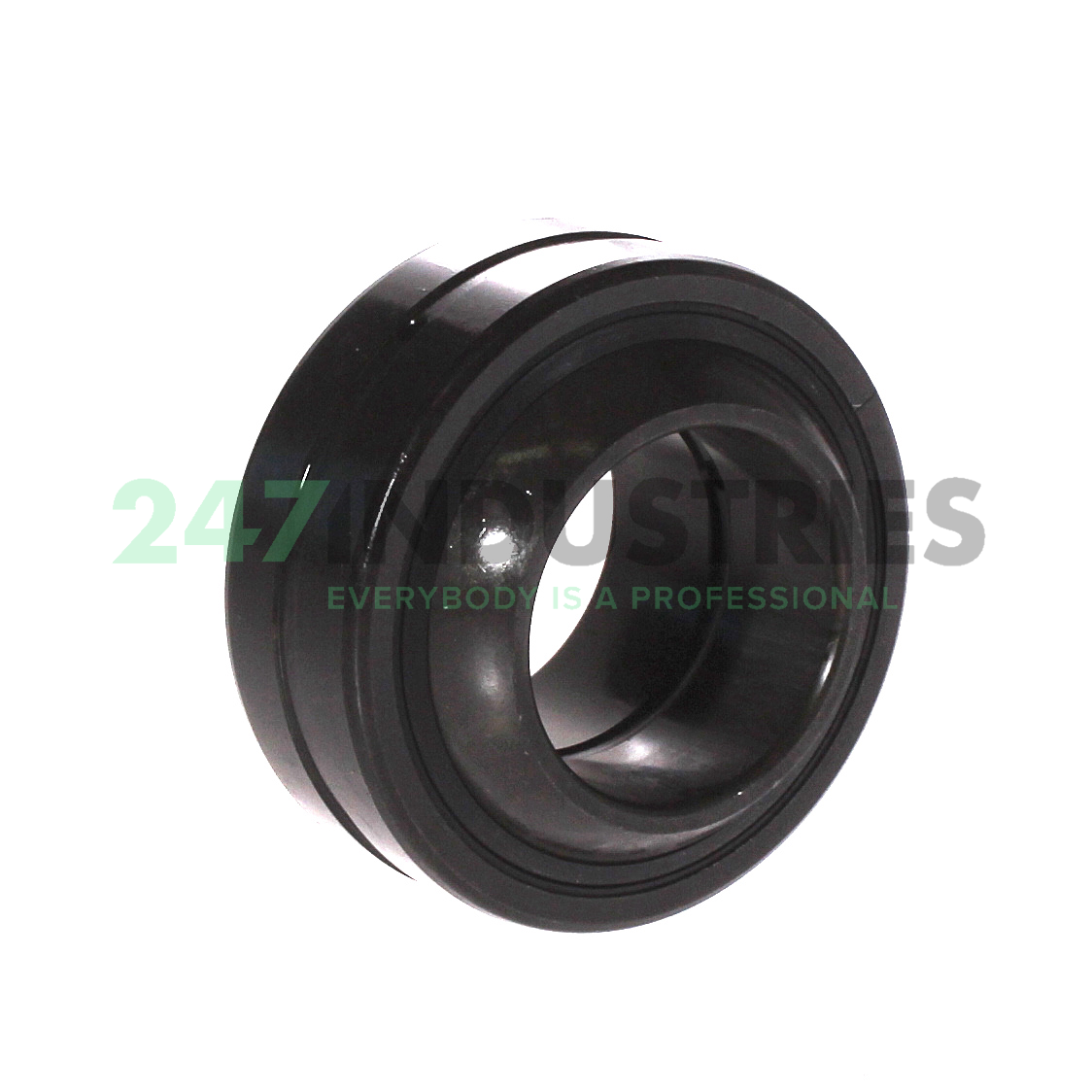 GE30-FO-2RS INA Image 2