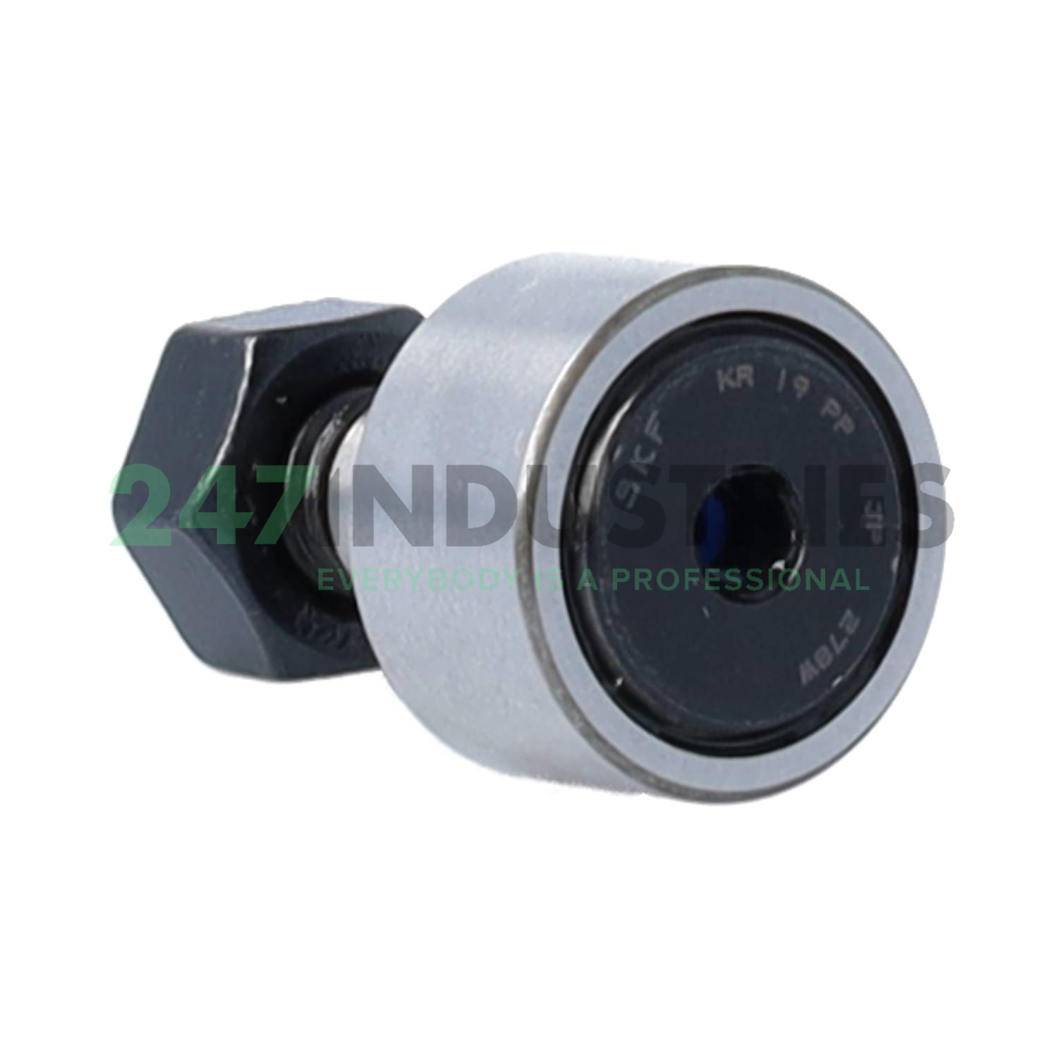 KR19PP SKF Image 1