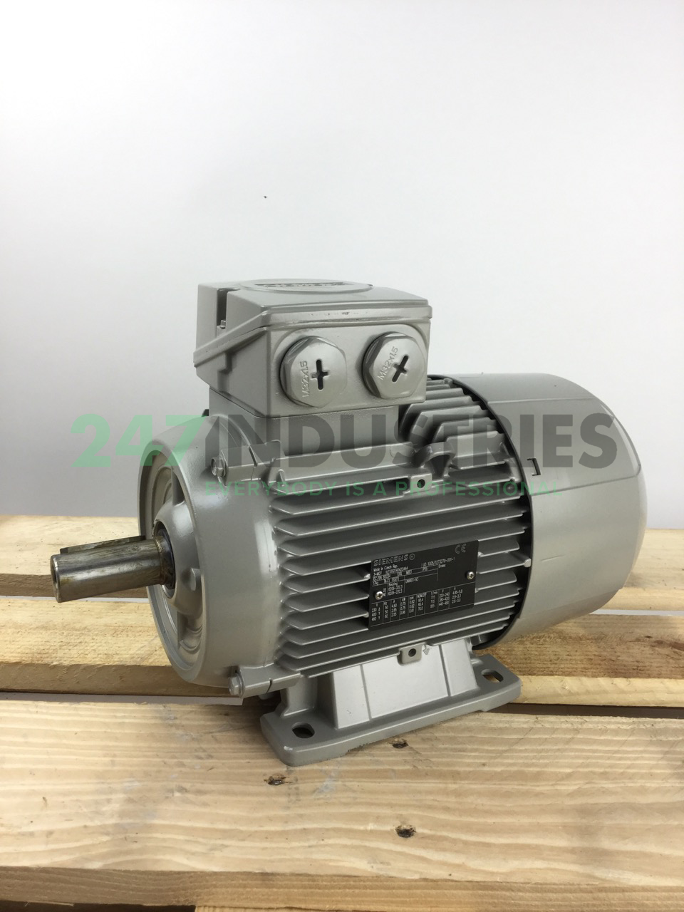 1LE1002-1AD42-2AA4 Siemens
