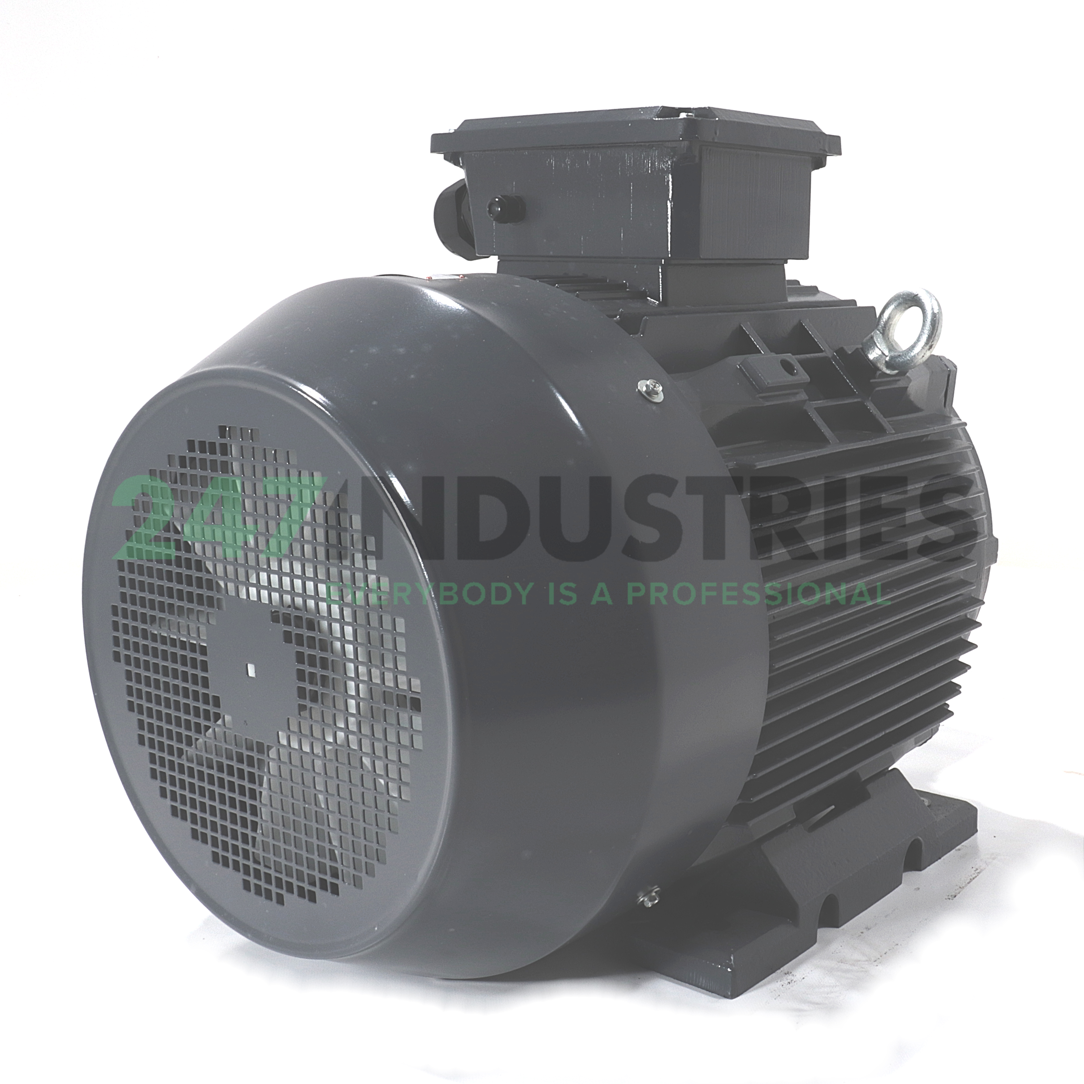 T3CR225S4-B3 TechTop Motor Image 3