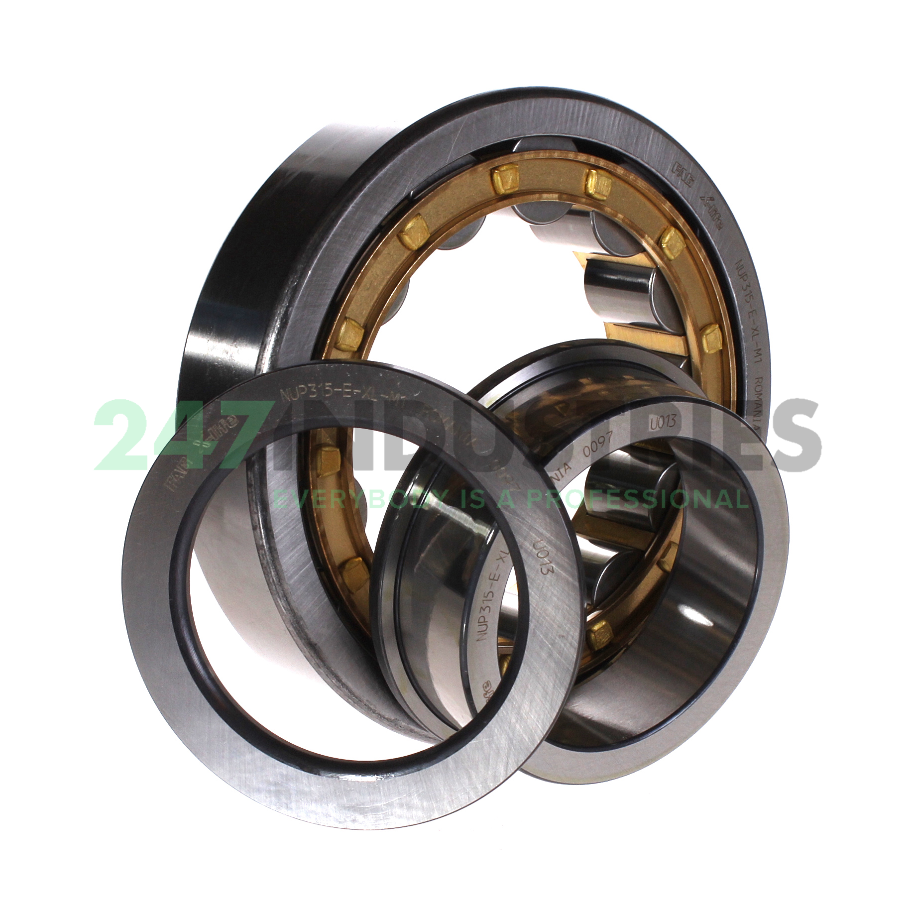 NUP315-E-XL-M1 FAG Image 3