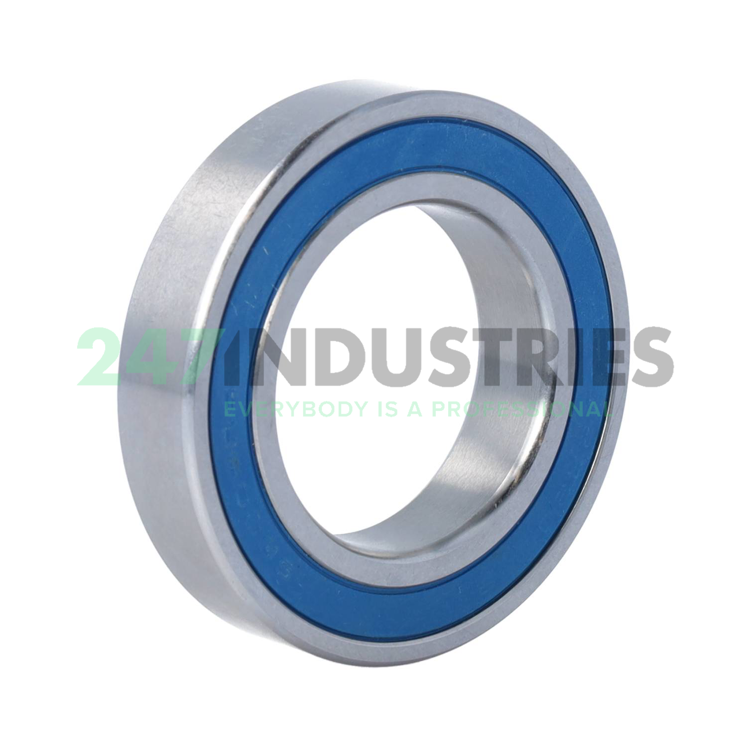 SS6009 2RS Craft Image 2