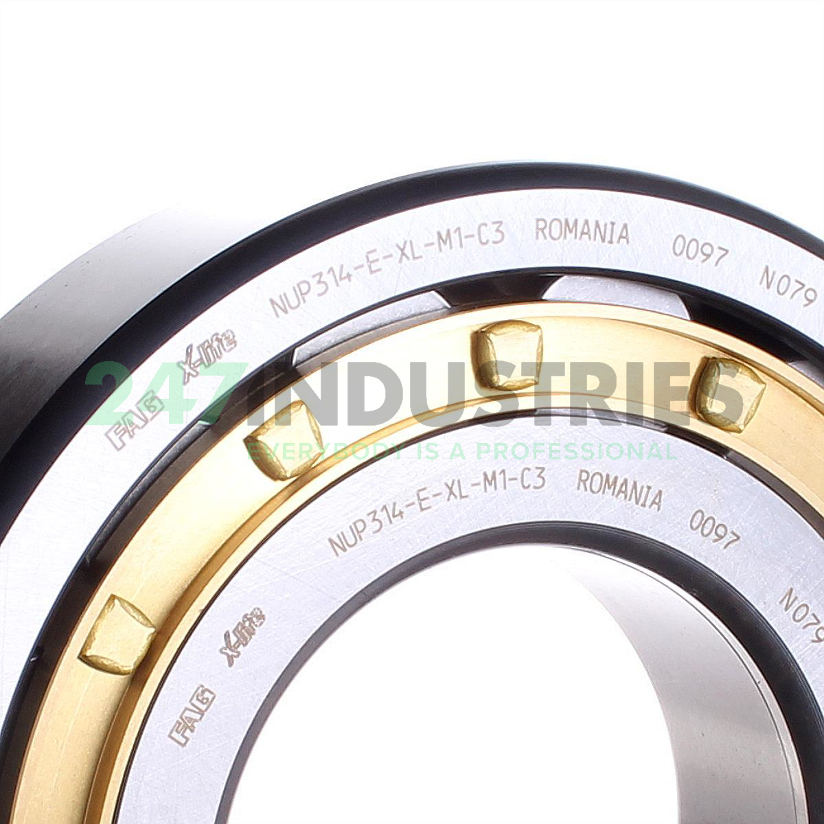 NUP314-E-XL-M1-C3 FAG Image 2