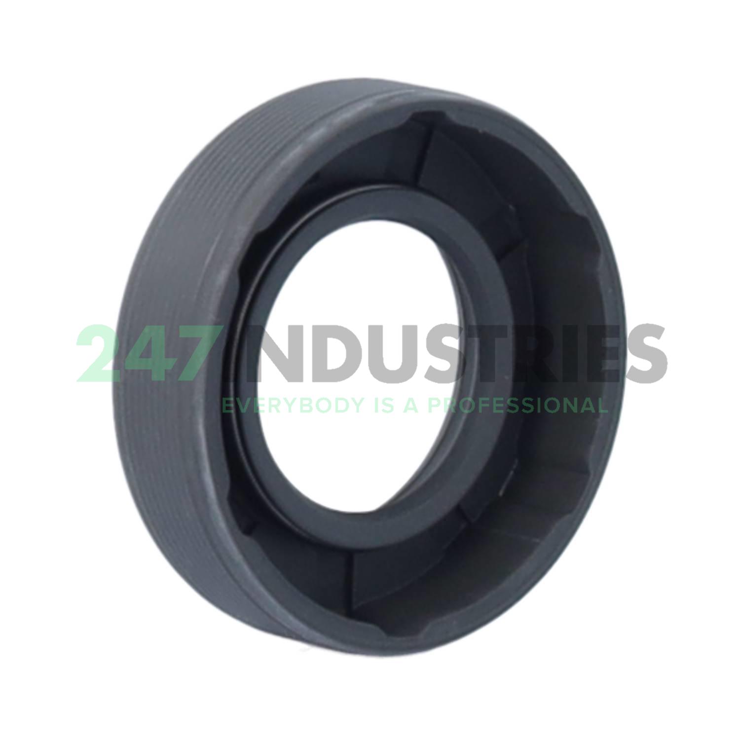 22X40X10HMS5RG SKF Image 2