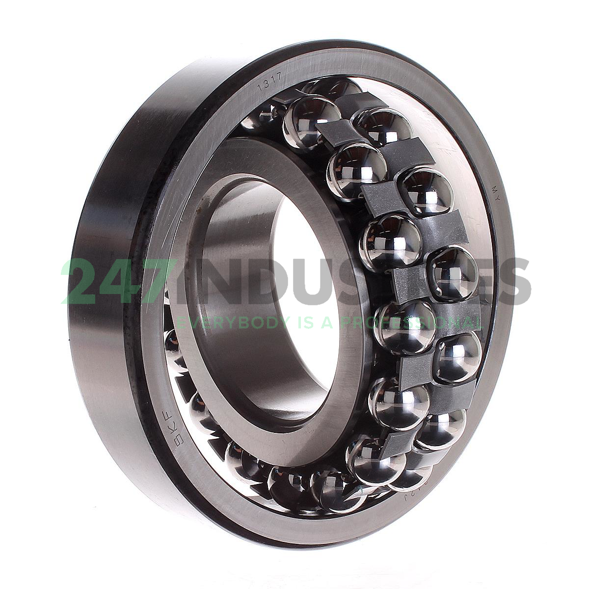 1317 SKF Image 3