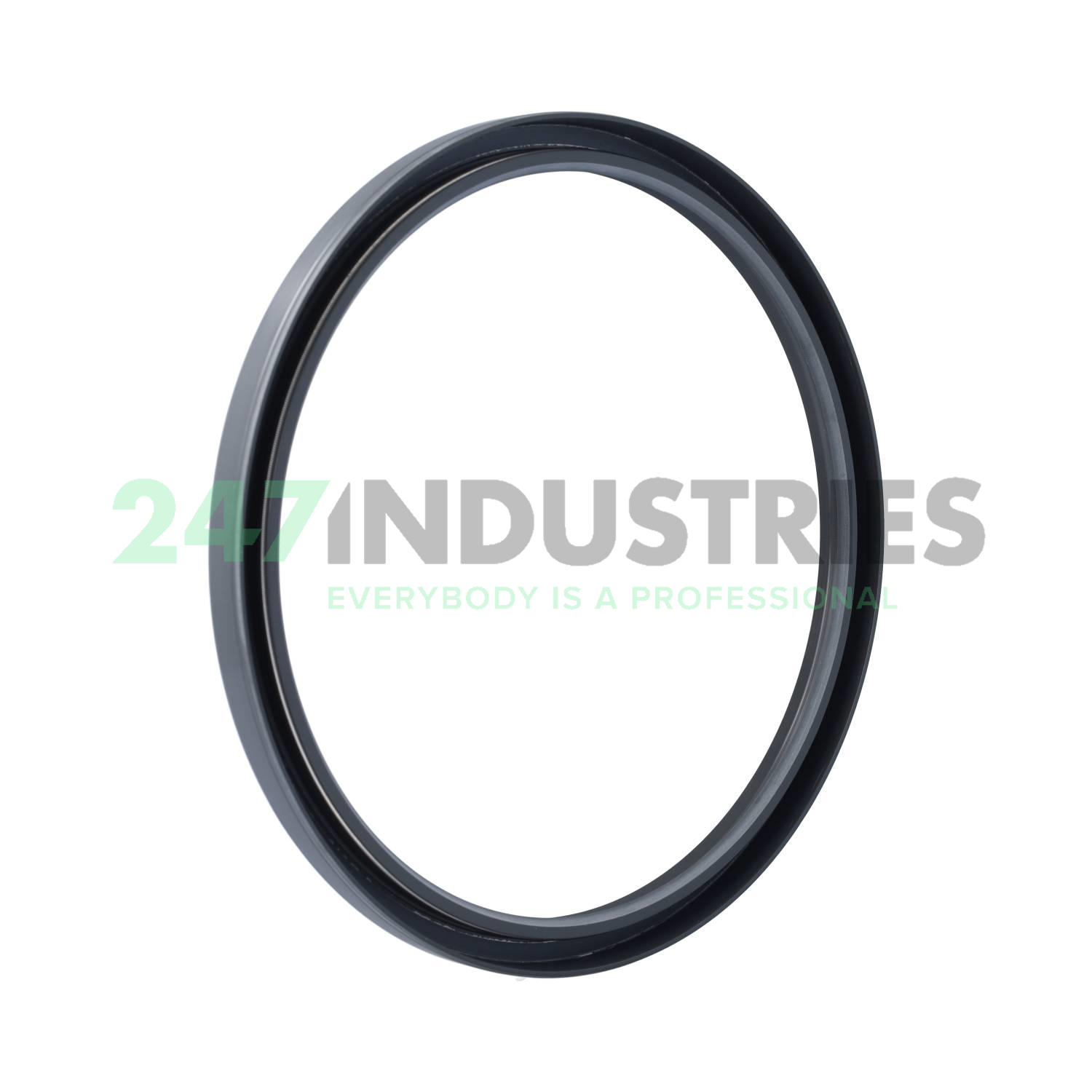 220X250X15HMSA10RG SKF Image 2