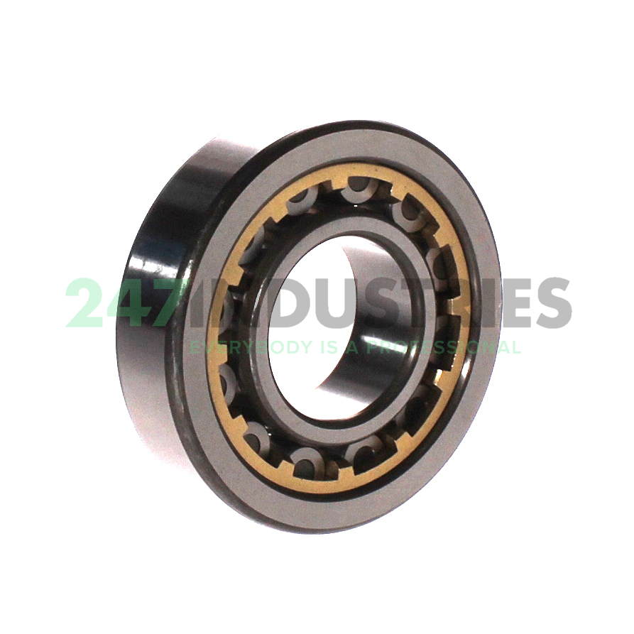 NU307G1 C3 NTN Image 2