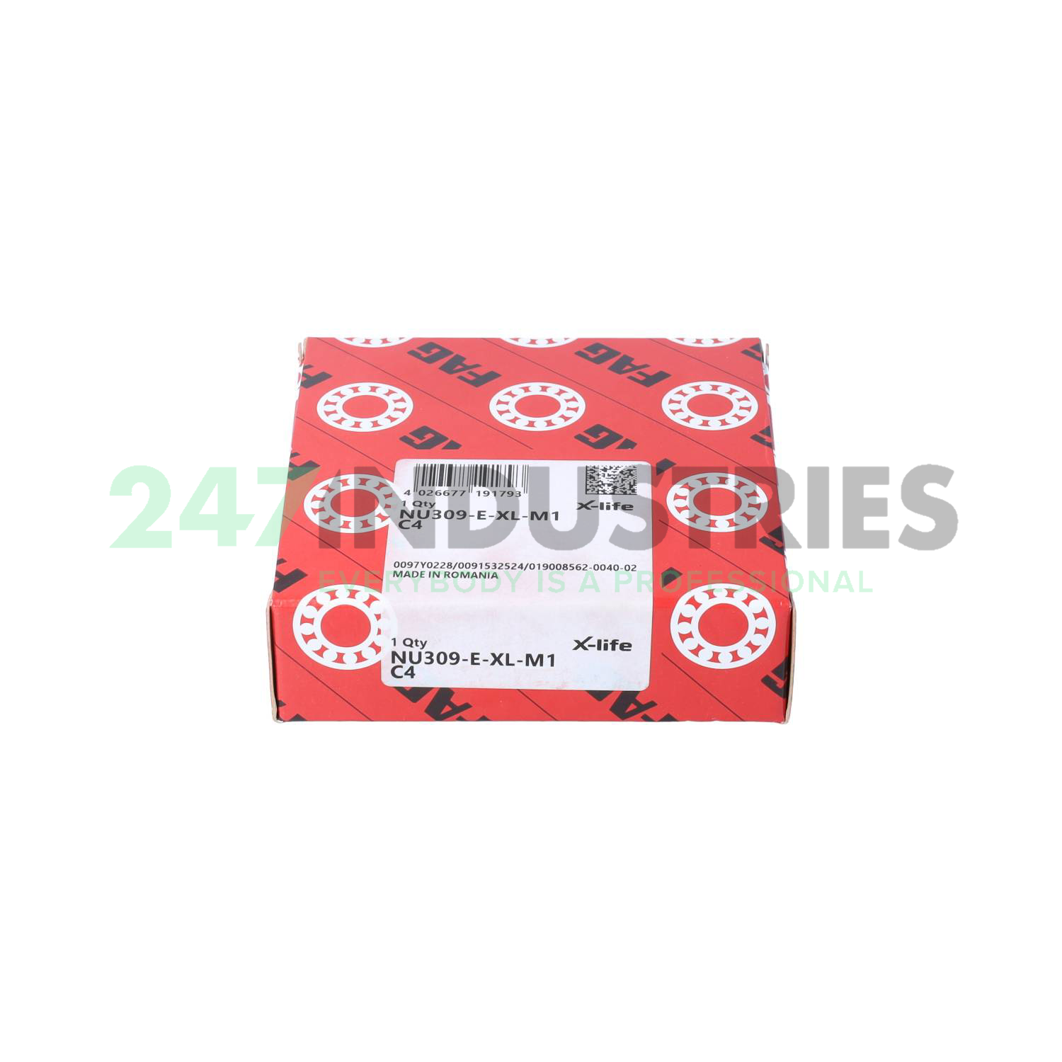 NU309-E-XL-M1-C4 FAG Image 4