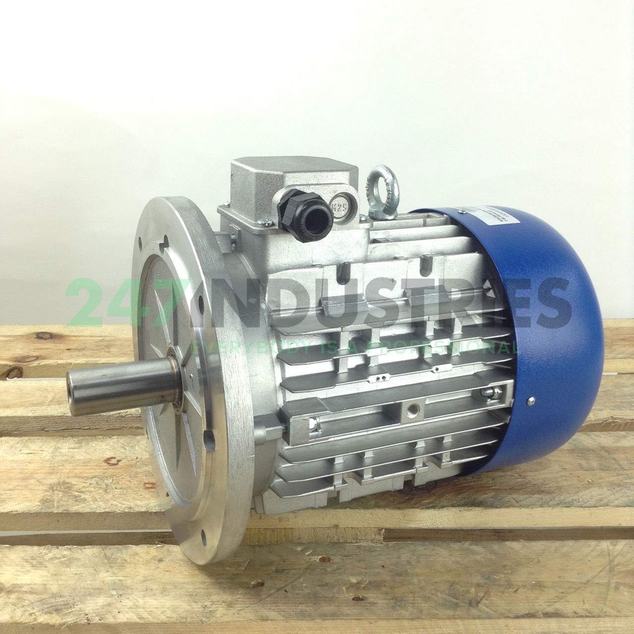 TN132SA/4-B5 MT Motori Elettrici Image 1