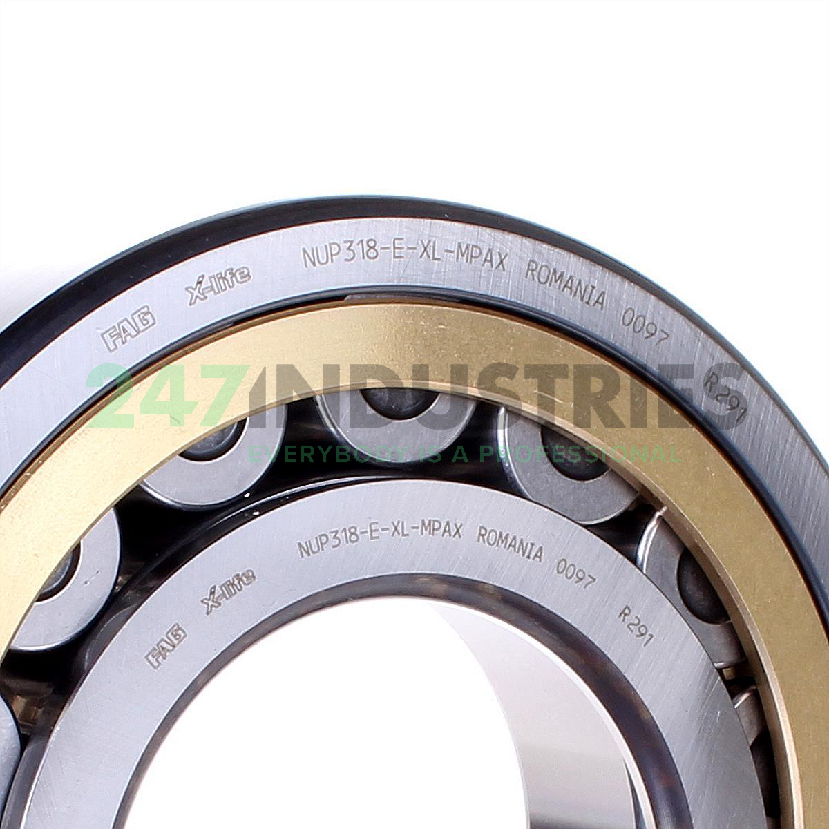 NUP318-E-XL-MPAX FAG Image 2