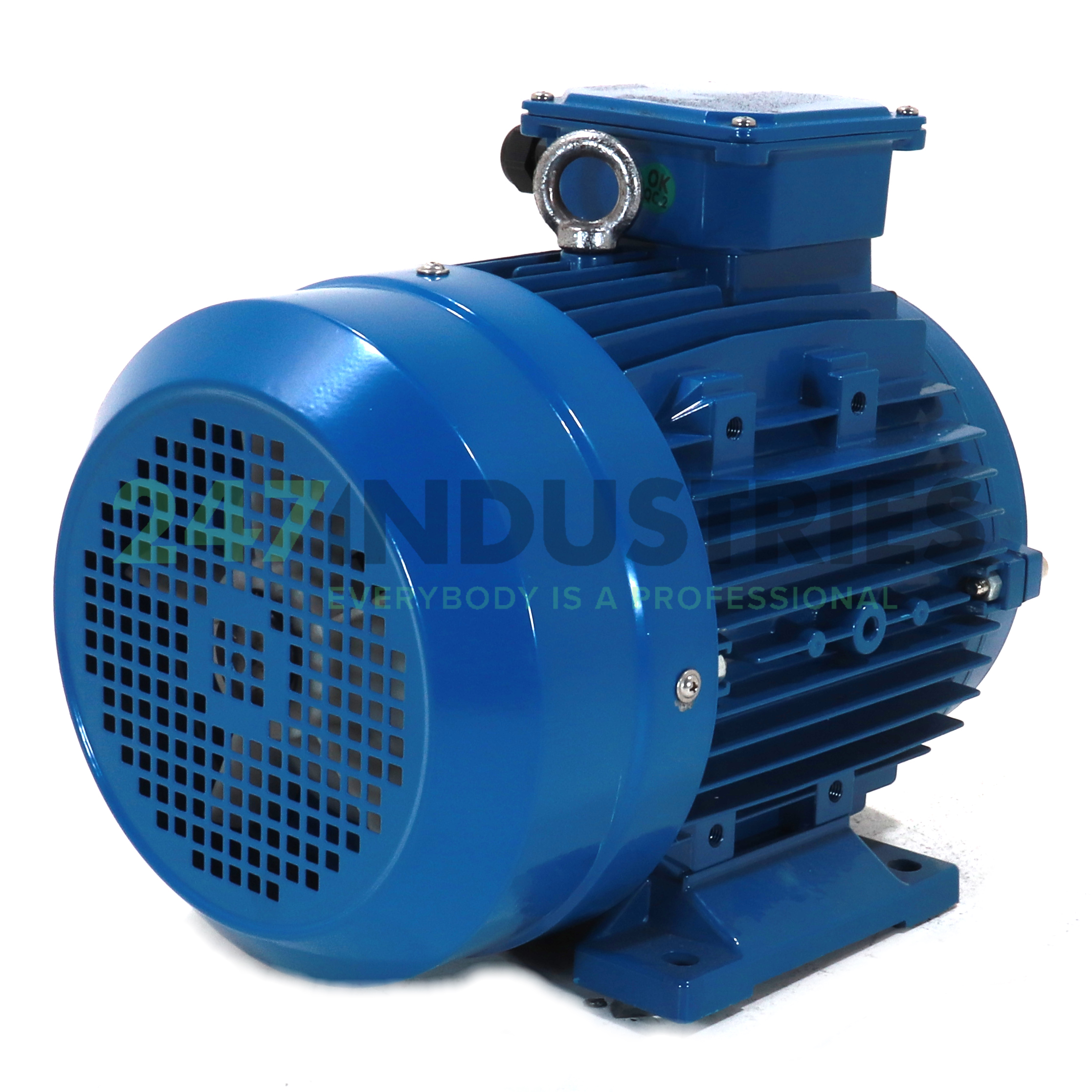 IE1-MSE132S1-2-B3 Cemp Image 4