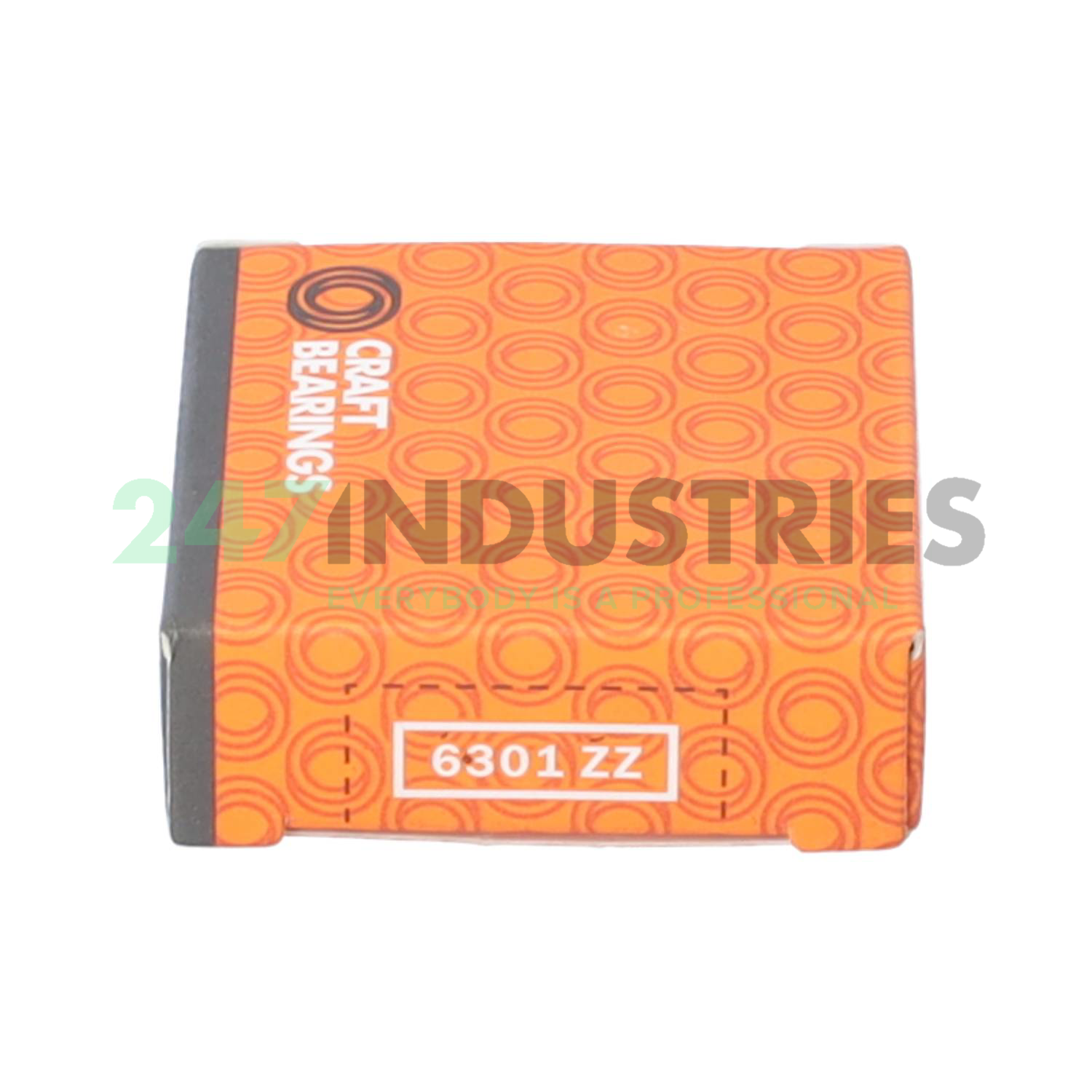 6301ZZ Craft Image 3