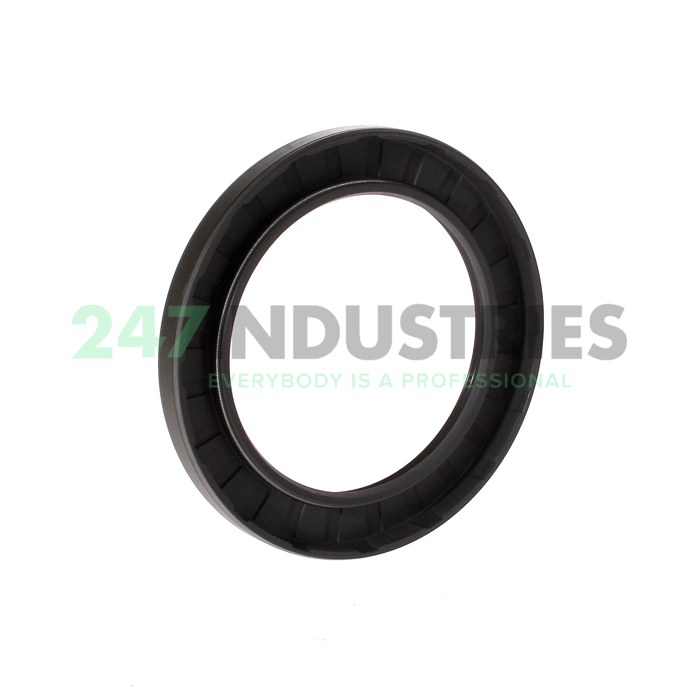 75X105X10HMSA10RG SKF Image 2