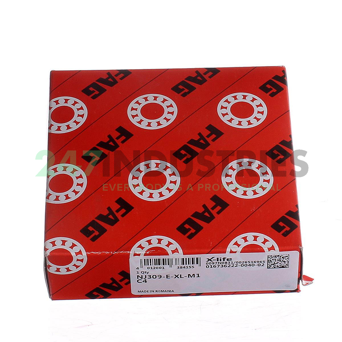 NJ309-E-XL-M1-C4 FAG Image 4