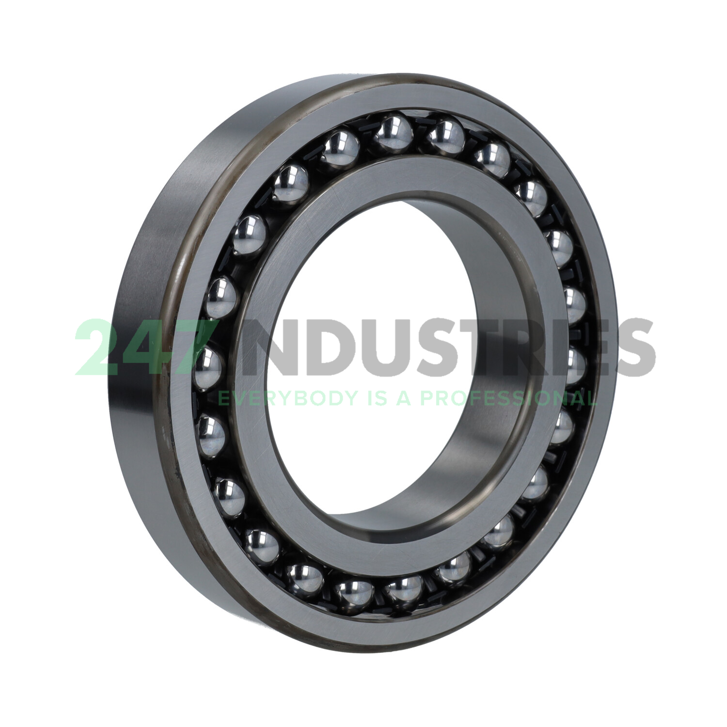 1216 NSK Image 2